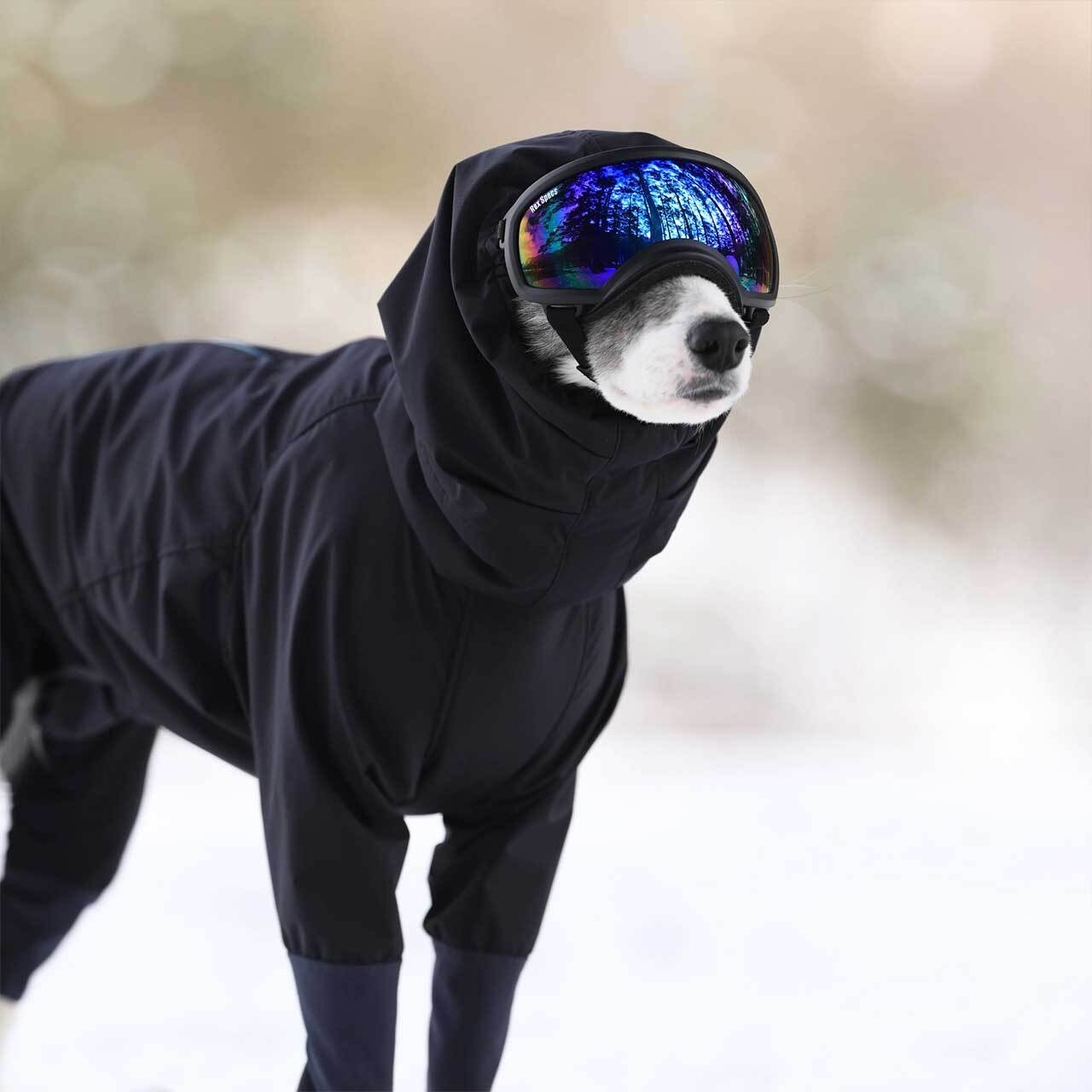 ALPHAICON [アルファアイコン] SNOW DOG GUARD [24SDG] スノードッグ