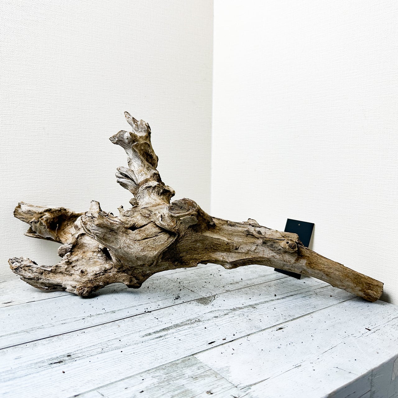 ADA ホーンウッドHORN WOOD LL 未使用品 ②