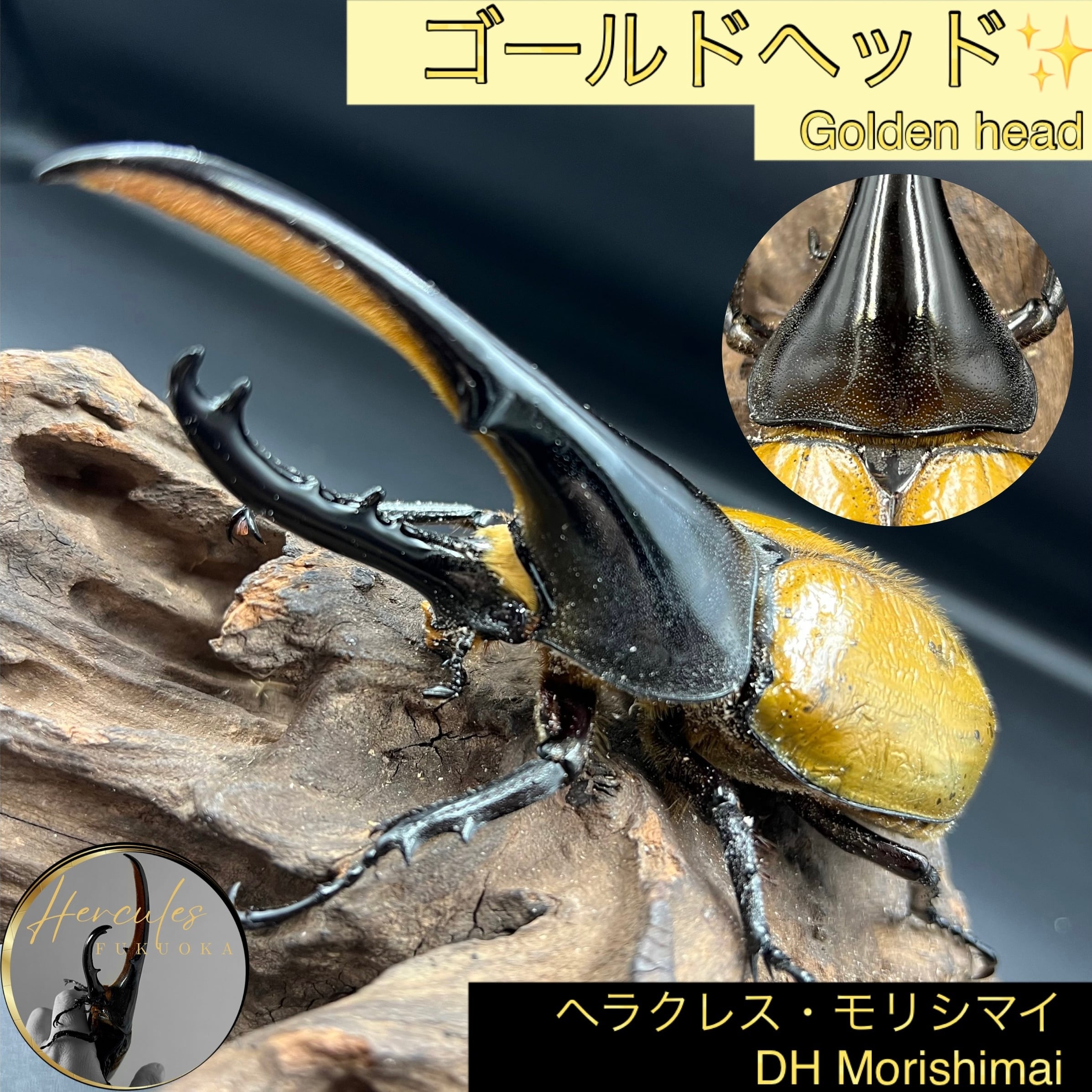 0c05f1fa105a82cf2fc7da00ae2d34