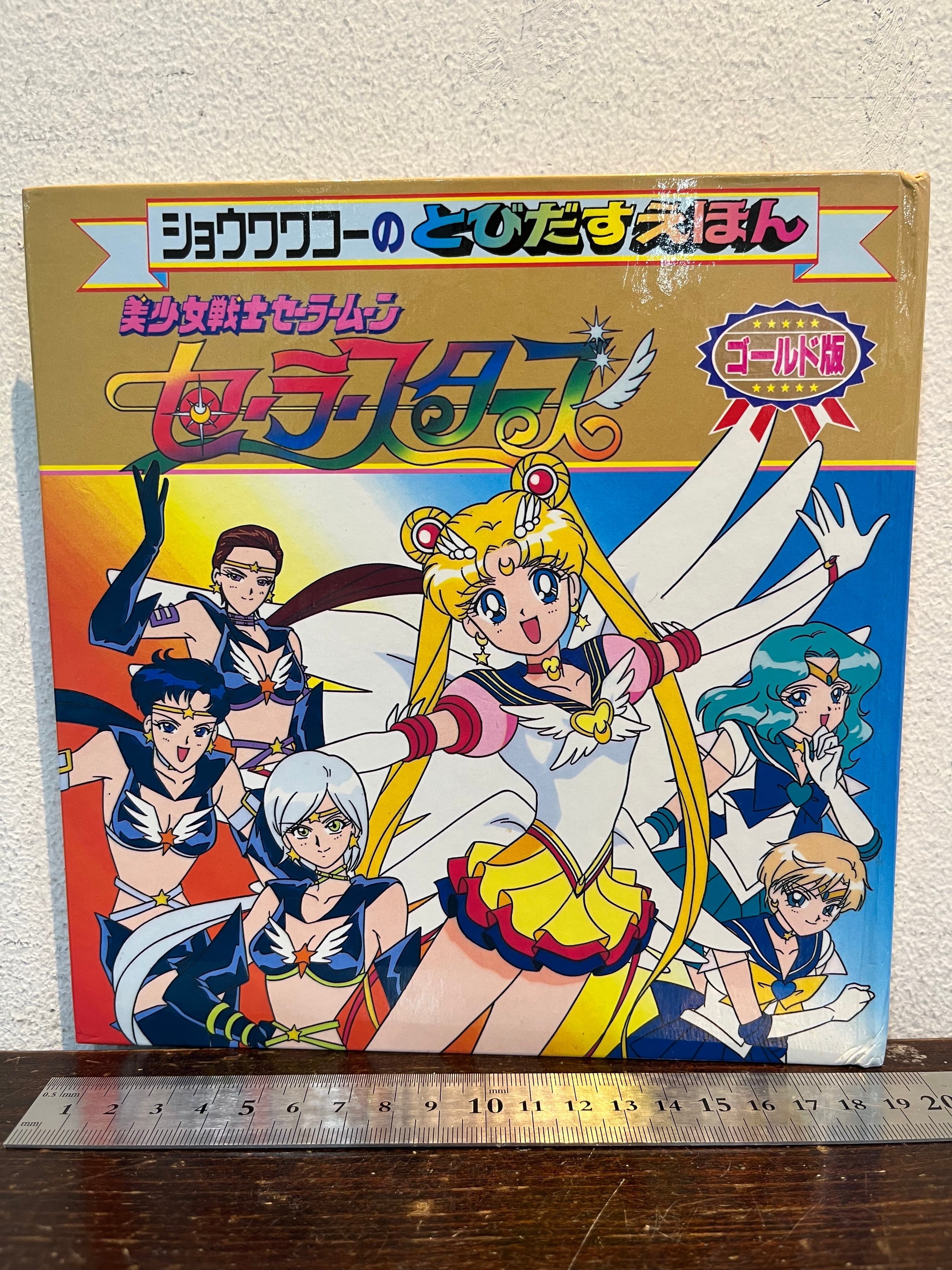 セーラームーン レゾネ発売記念展 オーロラポスター D 内部戦士
