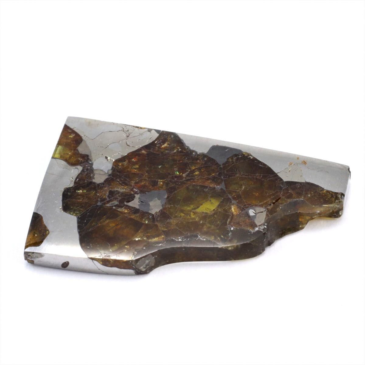 2024年入荷隕石 | 隕石販売.jp