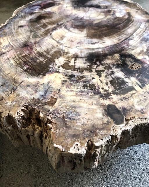 珪化木 けいかぼく ペトリファイドウッド ブラジル産 | 宝石研磨の匠