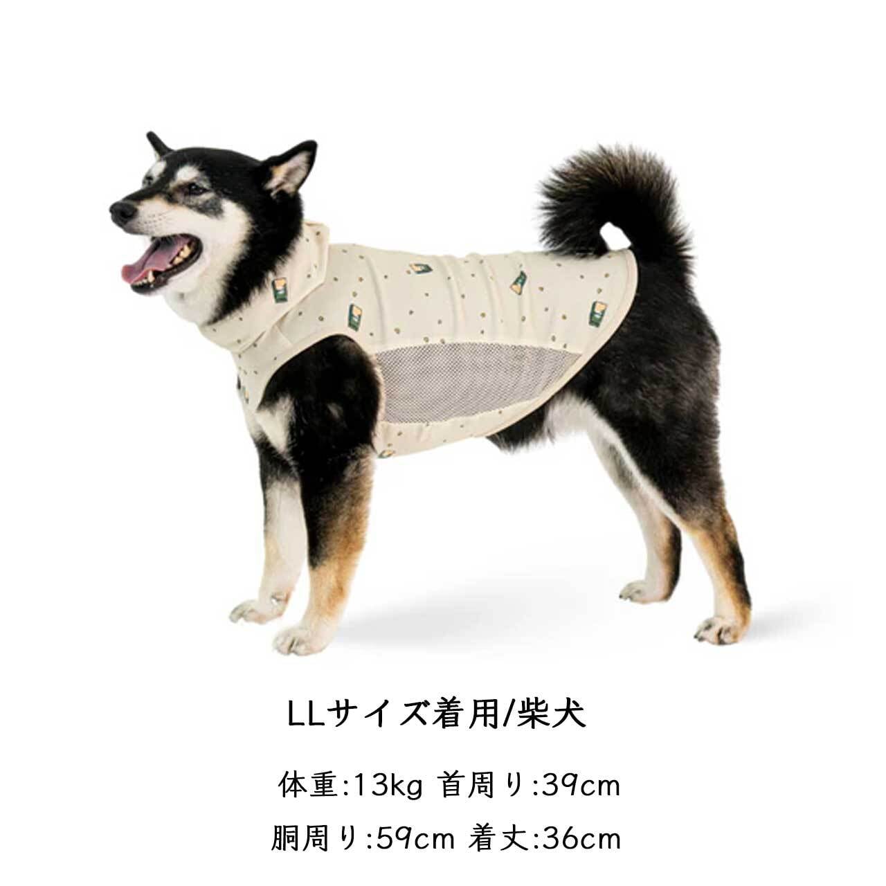 A*a様 ALPHAICON アルファアイコン サマークーリングネックmarbl