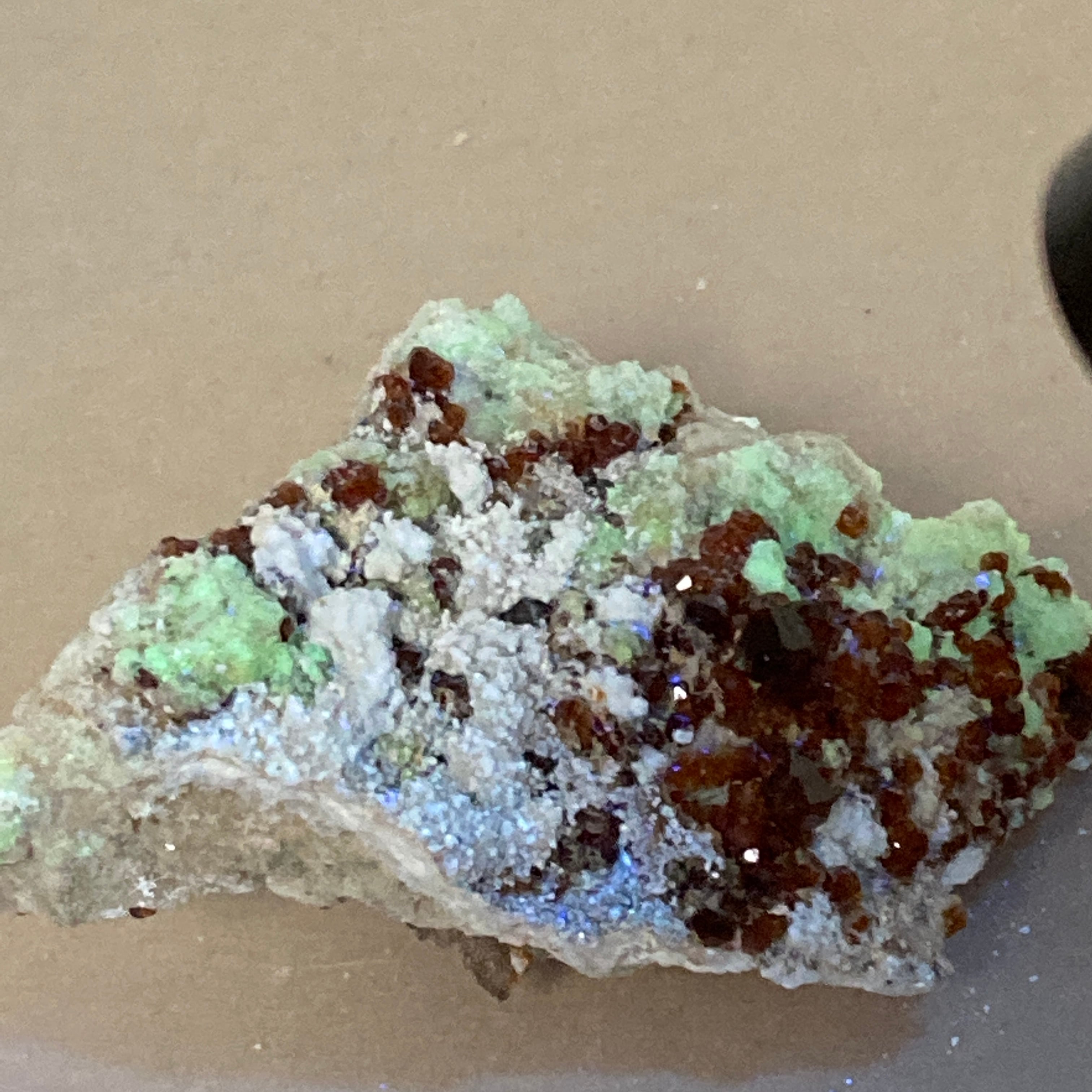 ヘソナイト ガーネット ダイオプサイト 共生 鉱物 標本 原石