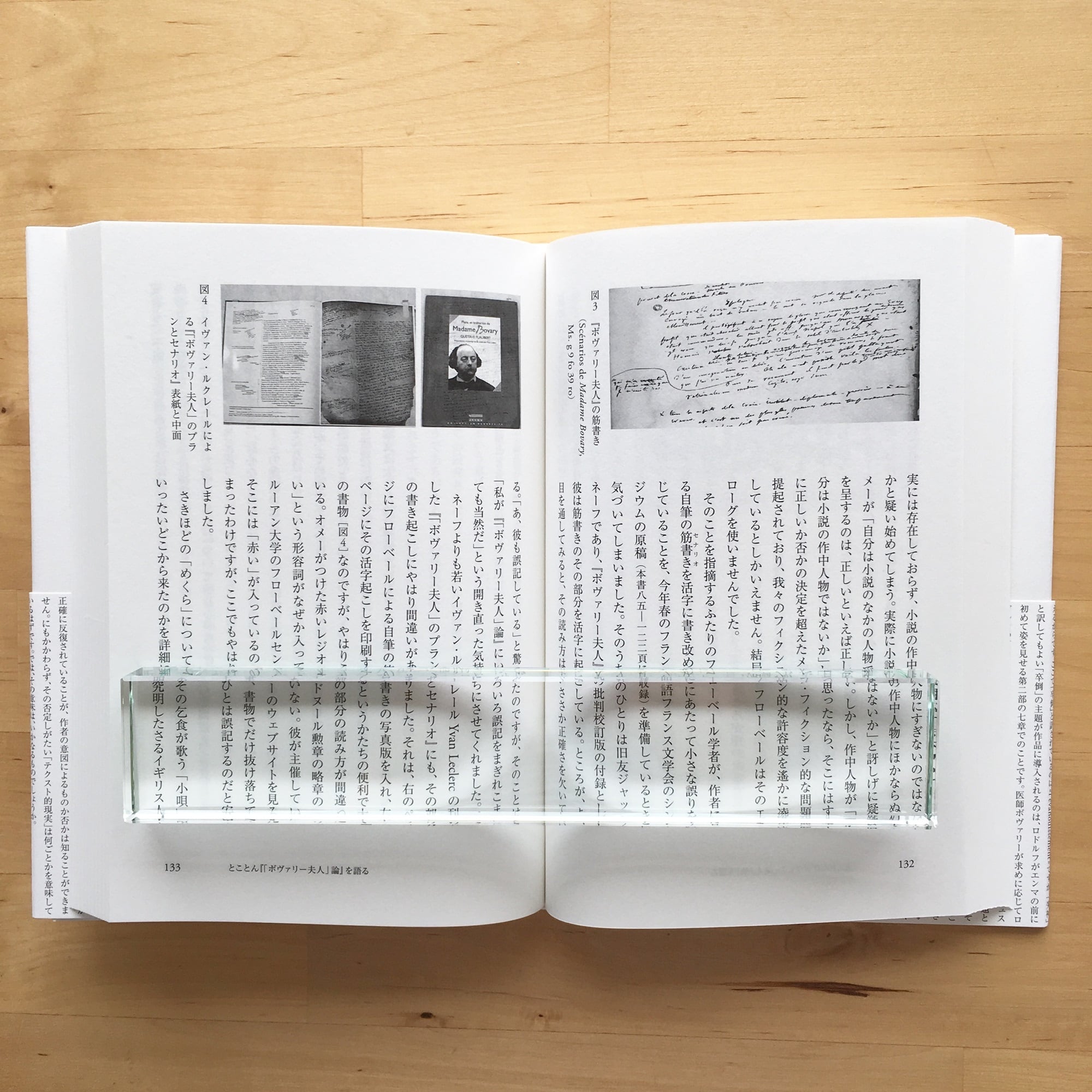 蓮實重彦『「ボヴァリー夫人」拾遺』 | 羽鳥書店 Hatori Press