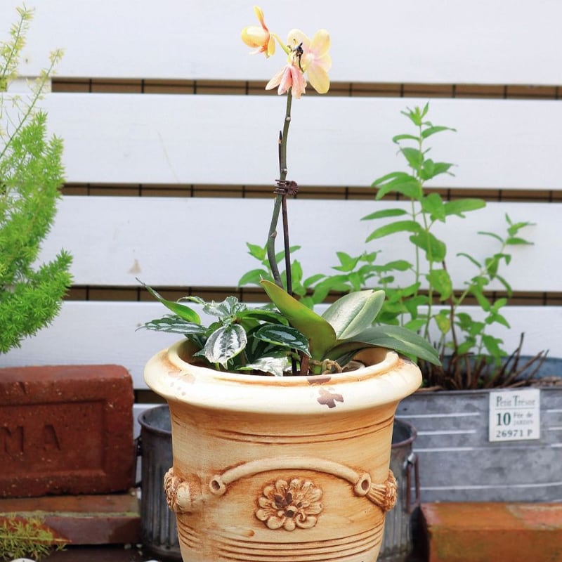 g 脚 木製 ヴィンテージ ガーデニング雑貨アンティーク ガーデン