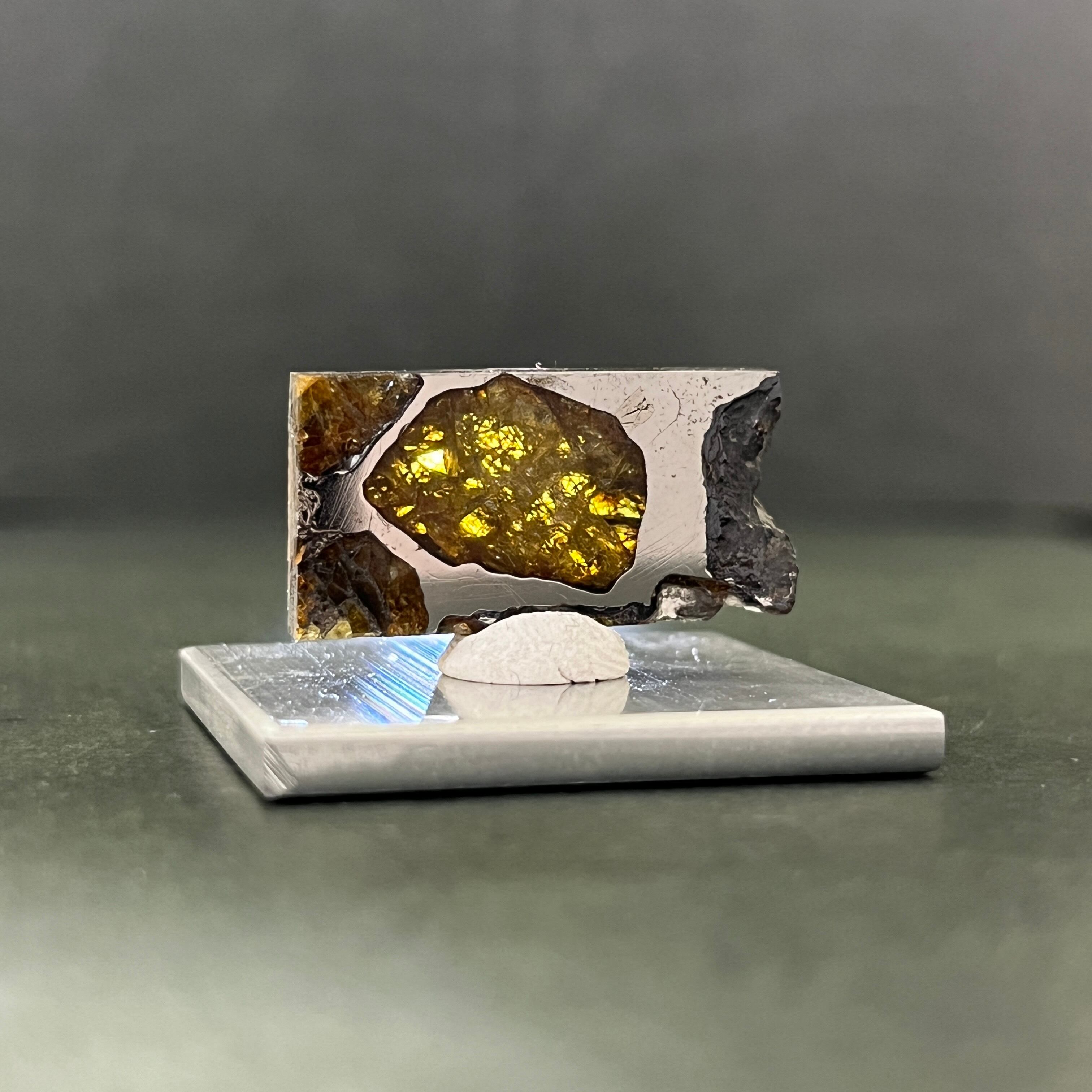 パラサイト隕石】イミラック隕石20g ケース&ネームカード付き NO.409