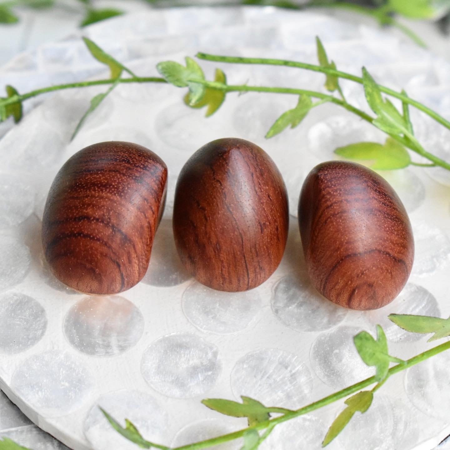 16f20214aa9f1ed0eb6fd0aaeb9679