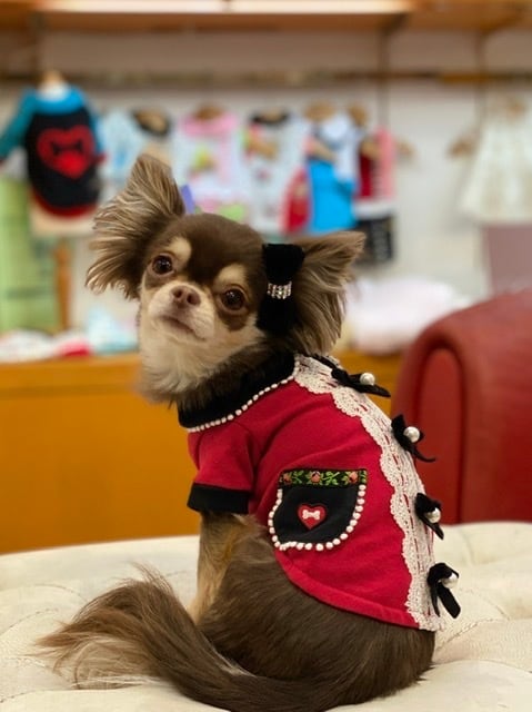 Fifi&Romeo Mサイズ Fifi_Romeo_Size_Chart_2015_677