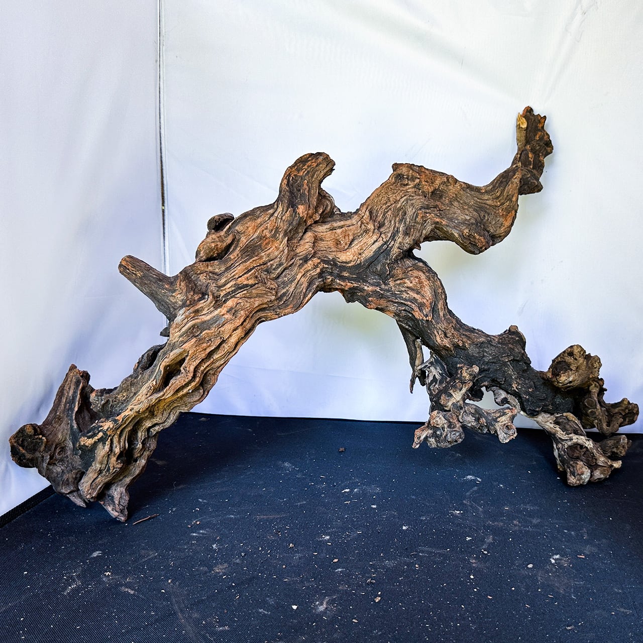 選び抜かれた存在感の特別な流木】ディープホーンウッド/Deep Hornwood