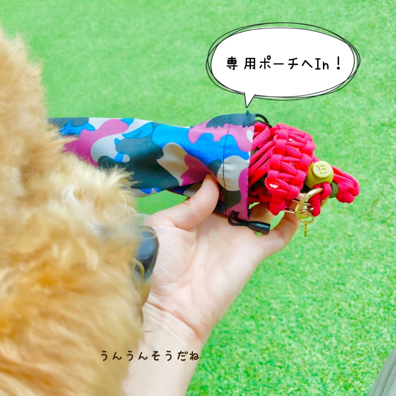 set【首輪一体型オーダーメイドリード（専用収納ポーチ付き）】パラ