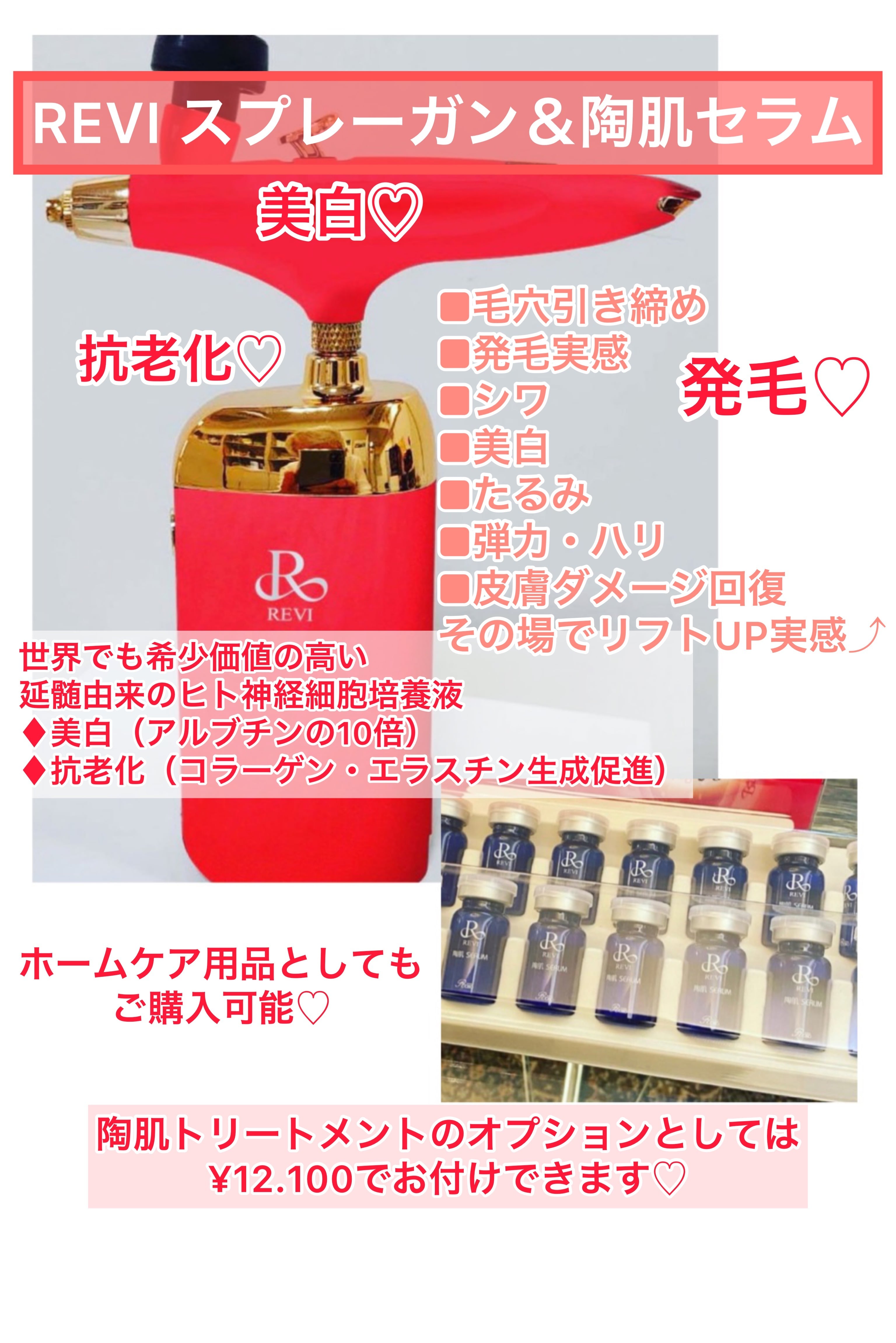 REVI 最も安い スプレーガン REVI ハンディスプレーガン | Revia24shop