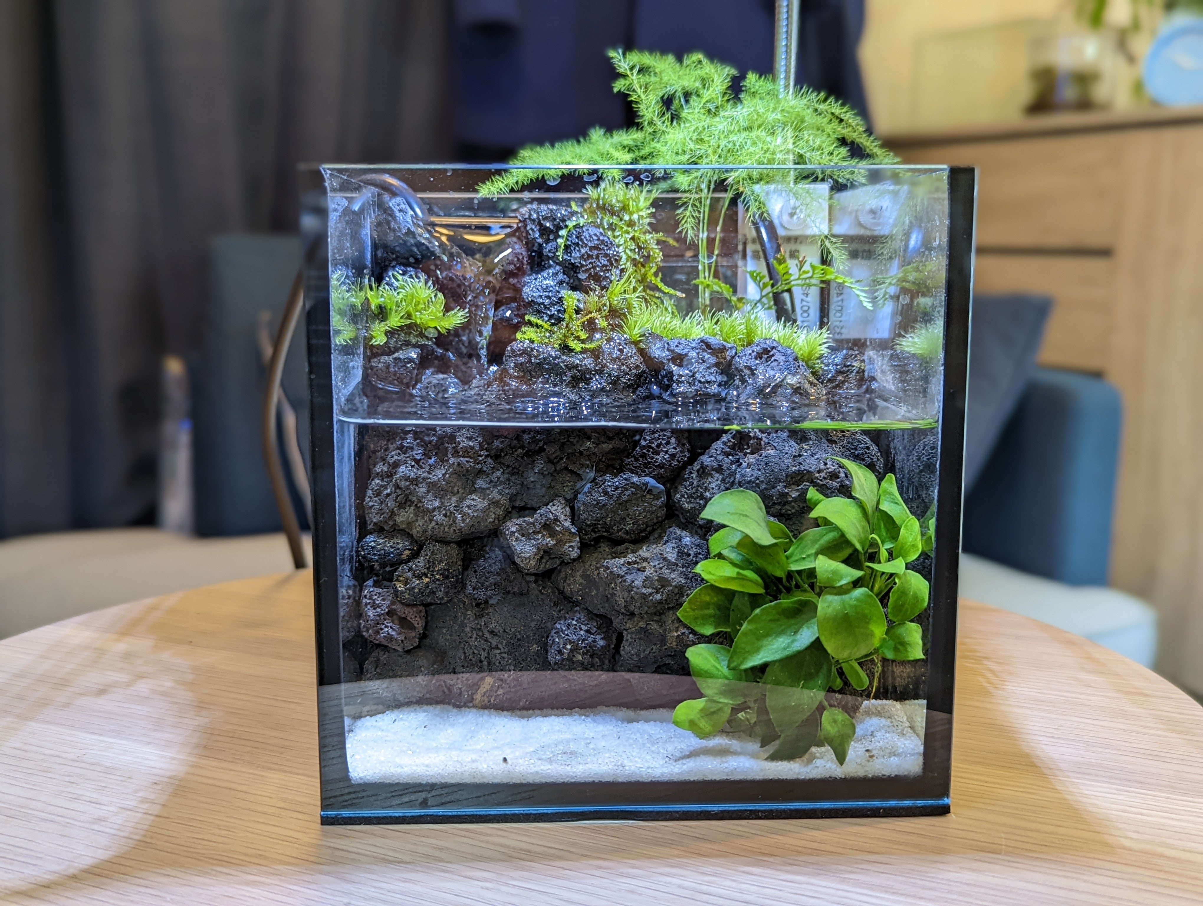 滝の流れるアクアテラリウム Niko 1ec3535a4e8e938117ff3b9587c74e