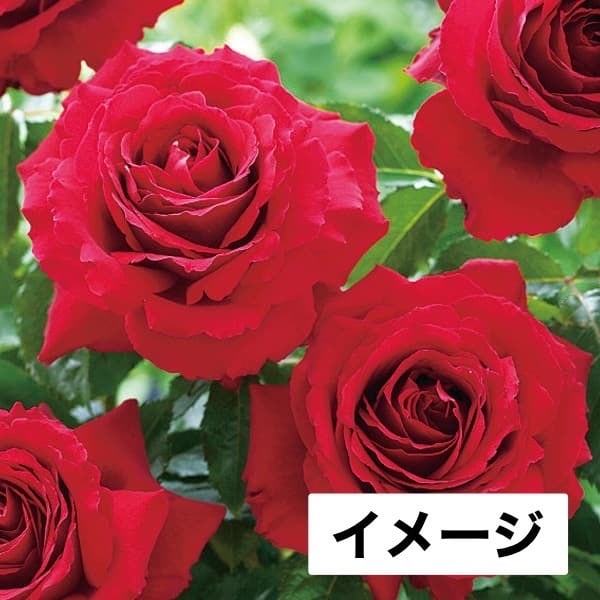 1efec72e26af25f80163595891876a