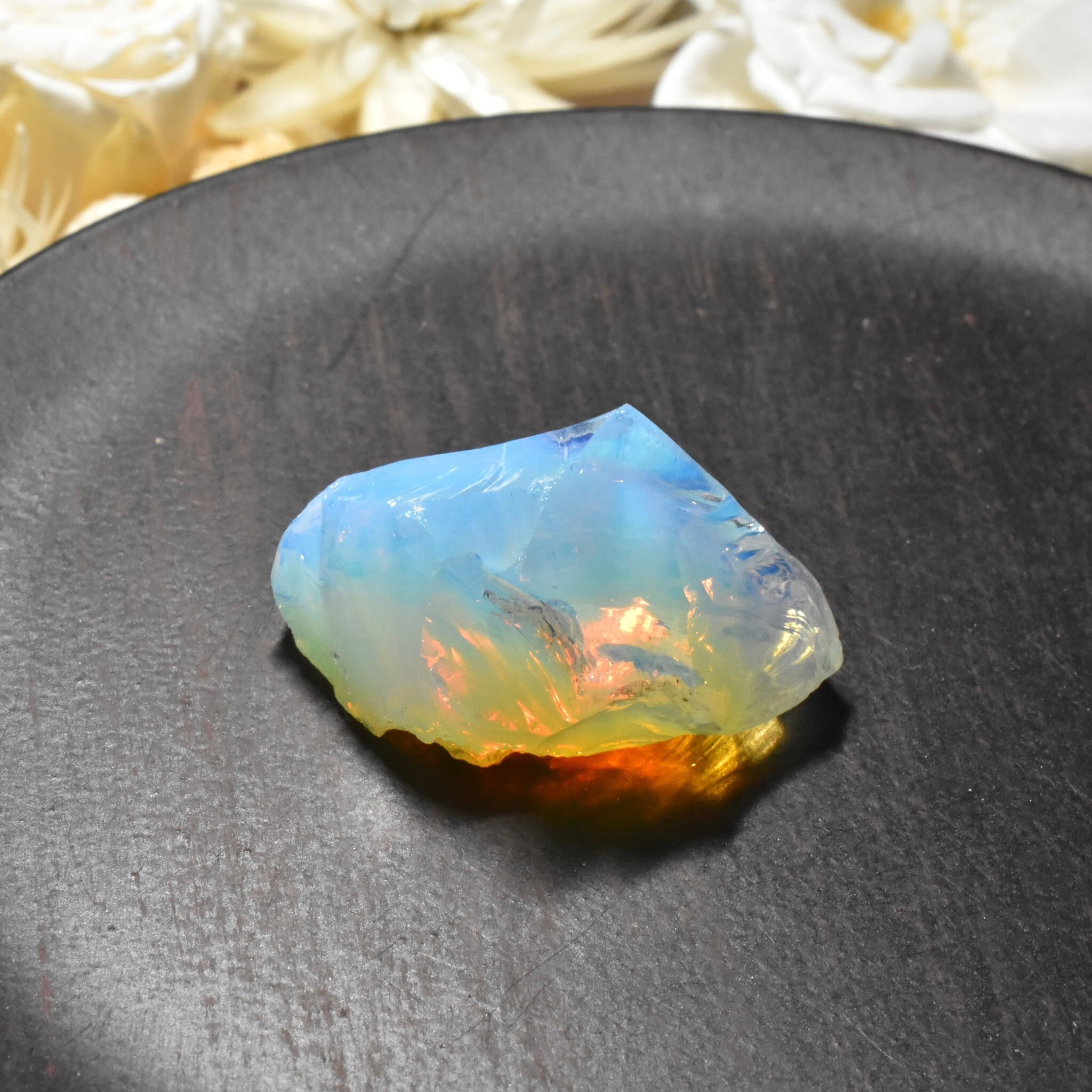 1f1a817f57209821935998501766c3