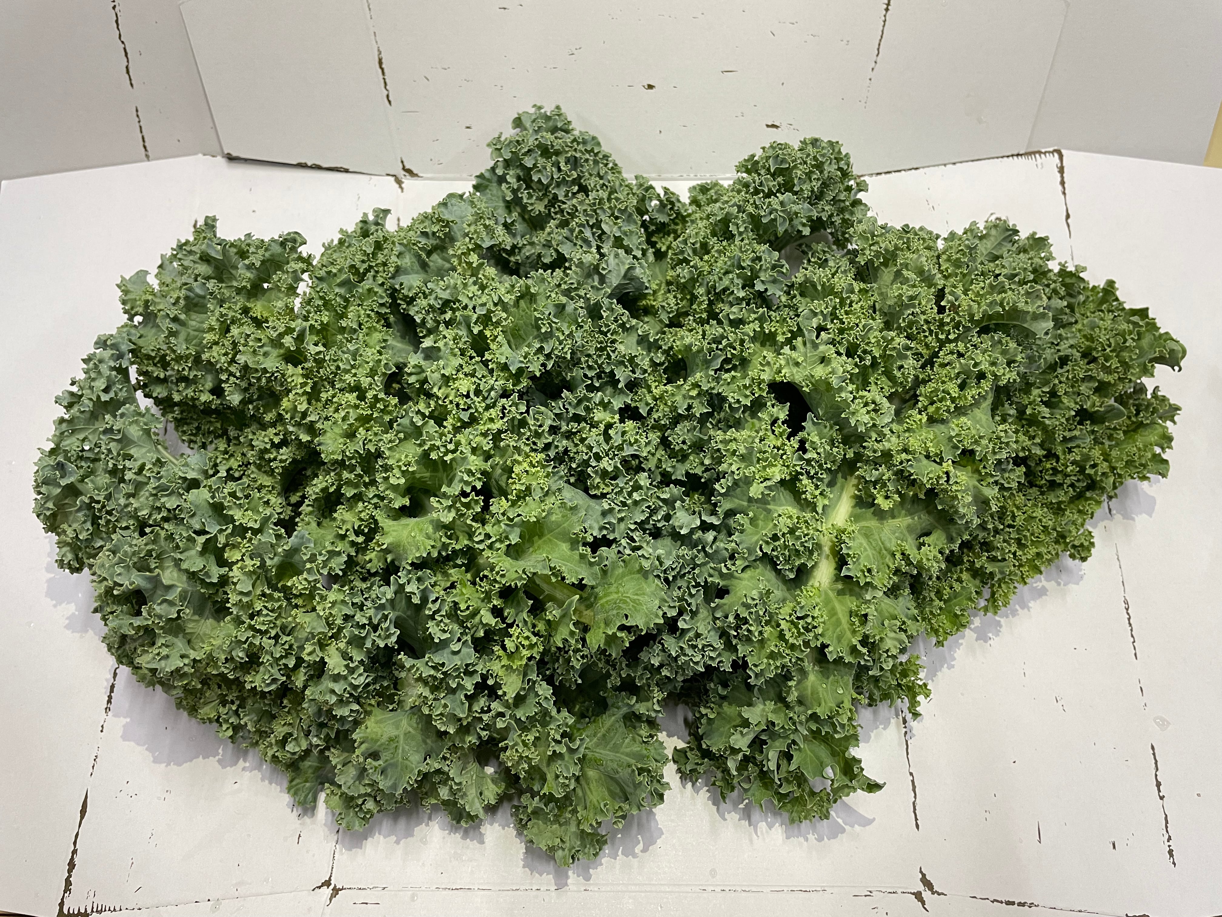 クール便 80サイズ 【季節の葉っぱ詰め合わせ】 | 京都葉っぱ屋(仮)