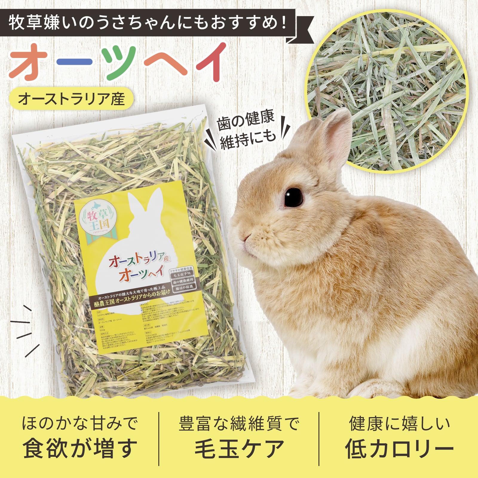 牧草王国 オーストラリア産特選 オーツヘイ 500g | うさぎの牧草