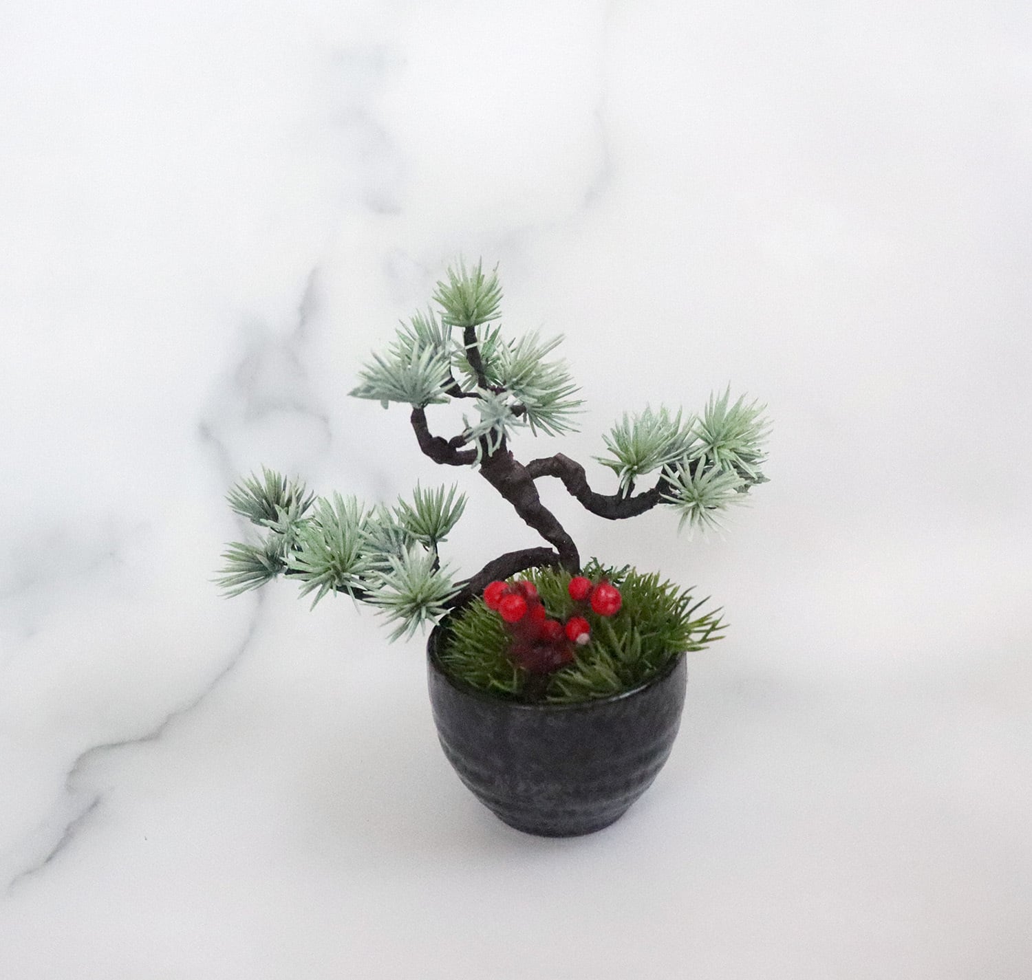 工房あめつち 豆盆栽 豆盆栽 工房あめつち 松 金魚 朝顔 工房