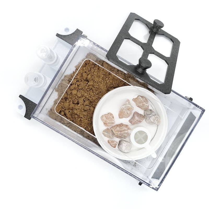 蟻の飼い方 アリ飼育ケース 石膏巣 特大