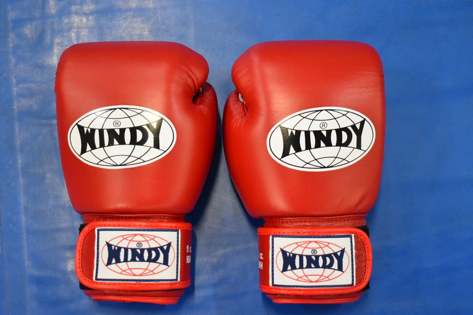 2242d445084cdb1a2107df1bb61c90