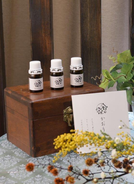 たかの友梨 バリキン(BARIKIN) 家庭用美容機器 エニシーグロウパック