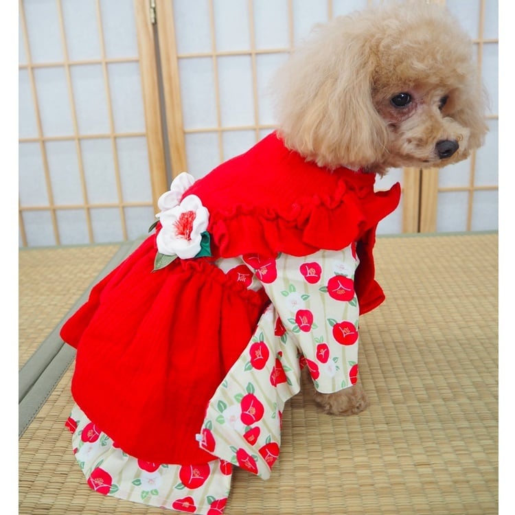 犬服 3S わんこの普段着 レトロフルーツ 犬服 3S わんこの普段着レトロ