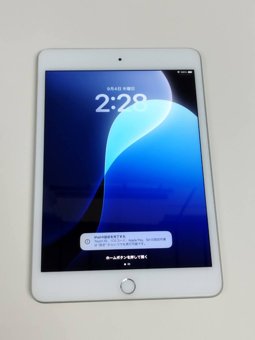 Wi-Fiモデル】iPad mini 第5世代/64GB/A2133〈MUQX2J/A〉-玄関飾り 木