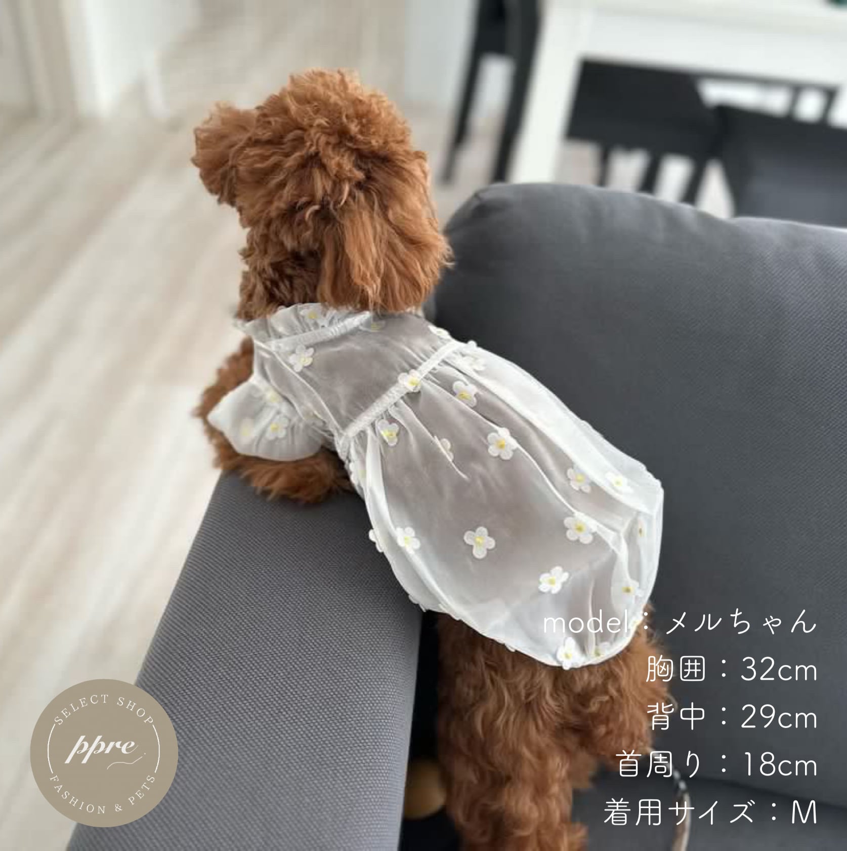 たかこ様☆犬服☆ハンドメイドオーダー‪☆4着✩.*˚ たかこ‬