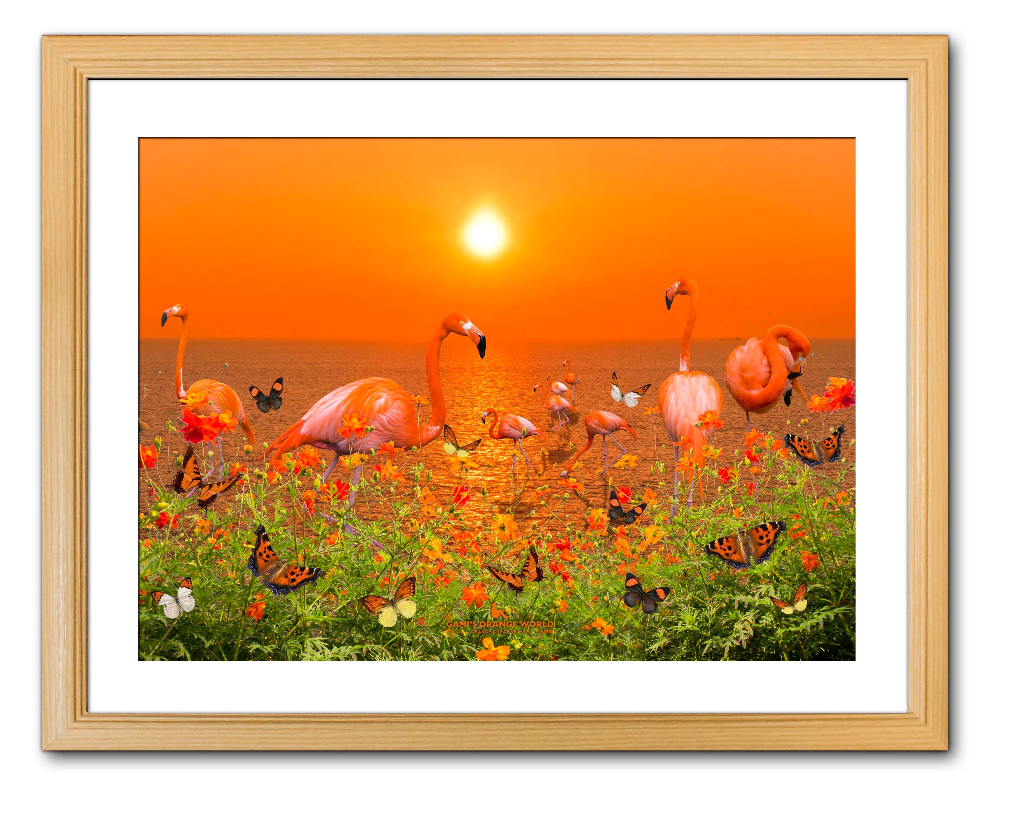 GAMI'S ORANGE WORLD（サカガミタカオのオレンジの世界）