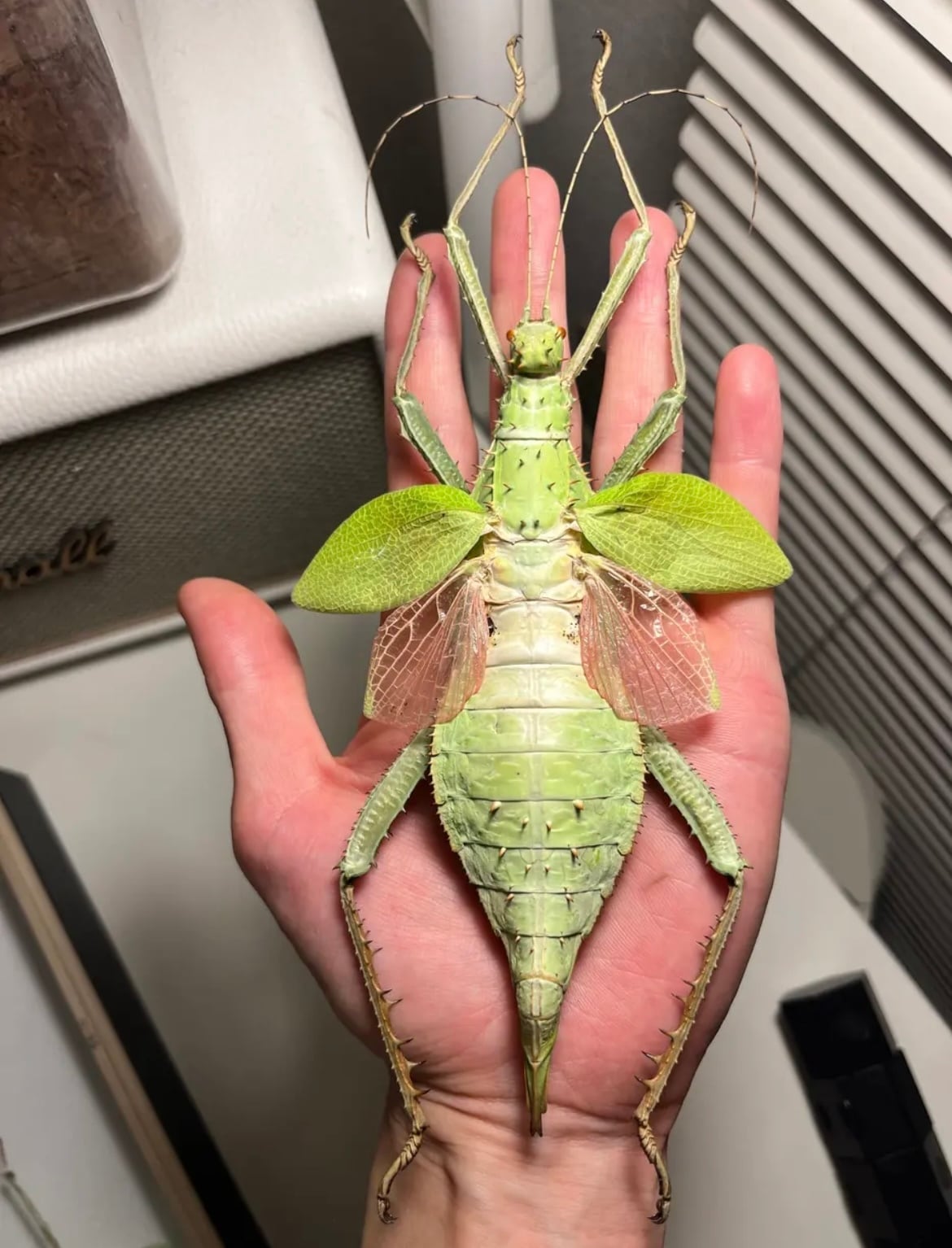 31f58666a336b985d38c01e5a2e8ad