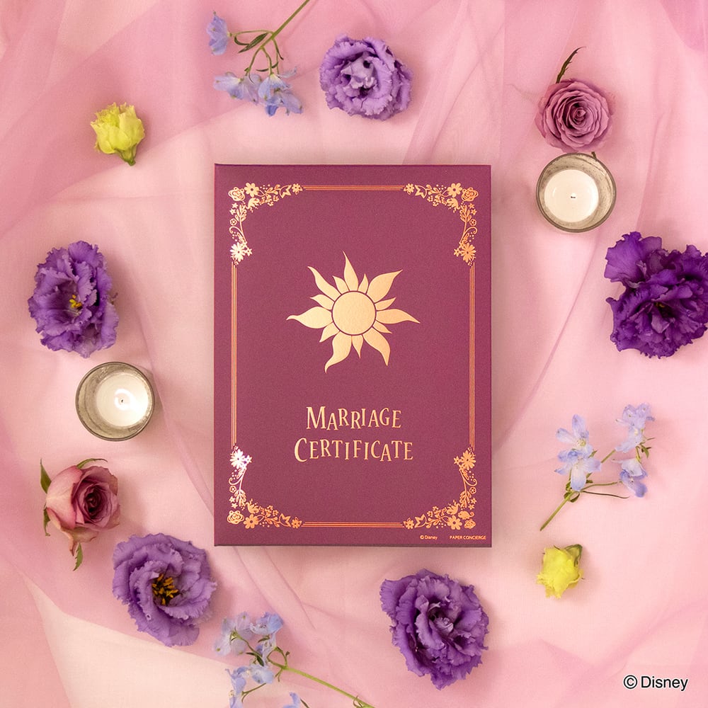 Carolers Minnie 未使用 証明書付き Carolers Minnie 未使用 証明書付き