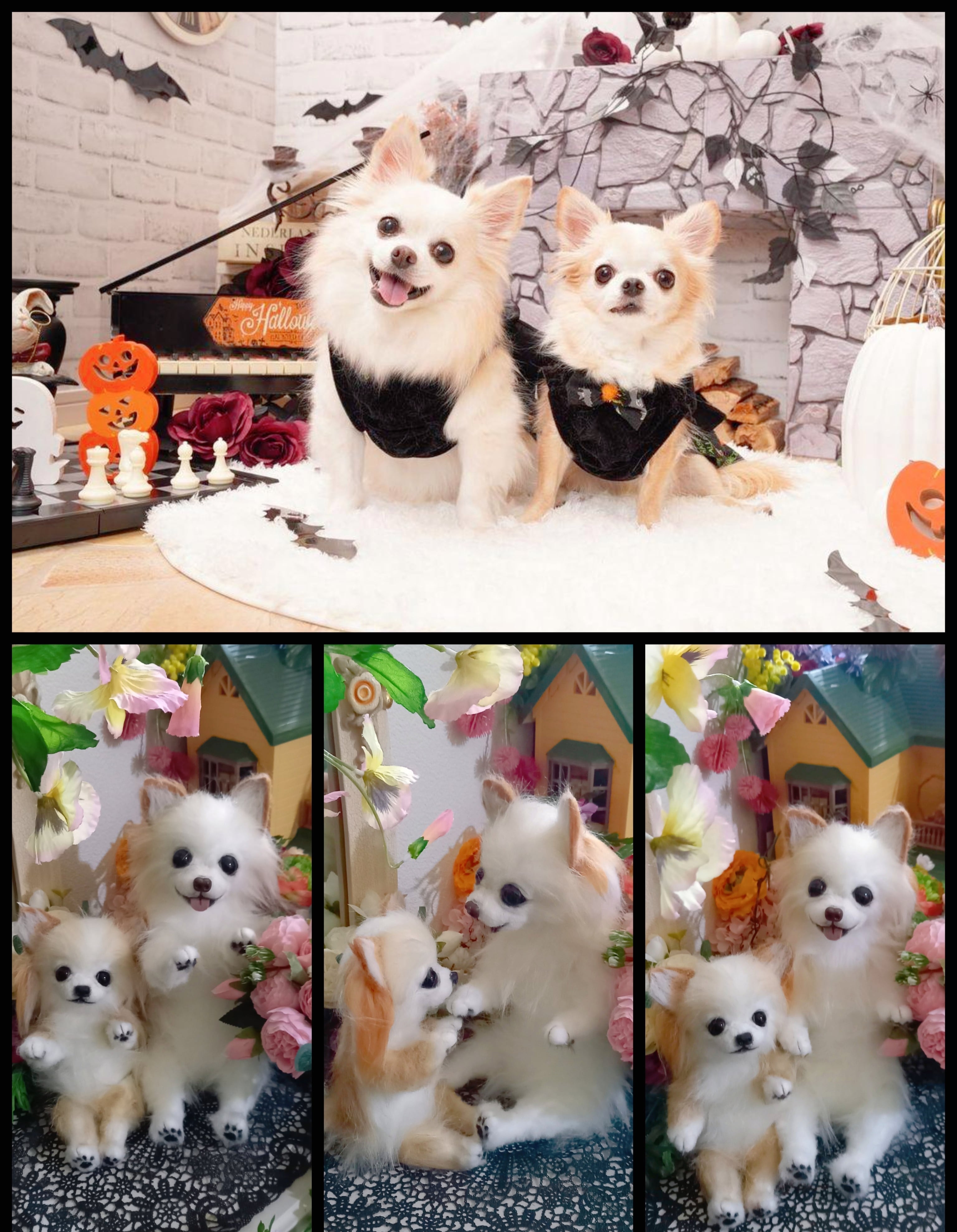 オーダー受付いたします♥️ 実物大 チワワ 愛犬 分身 ぬいぐるみ 羊毛