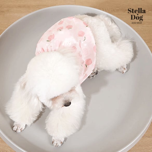 ☆【閉店セール全品半額】ピーチバルーンワンピース 桃柄 ピンク 犬服