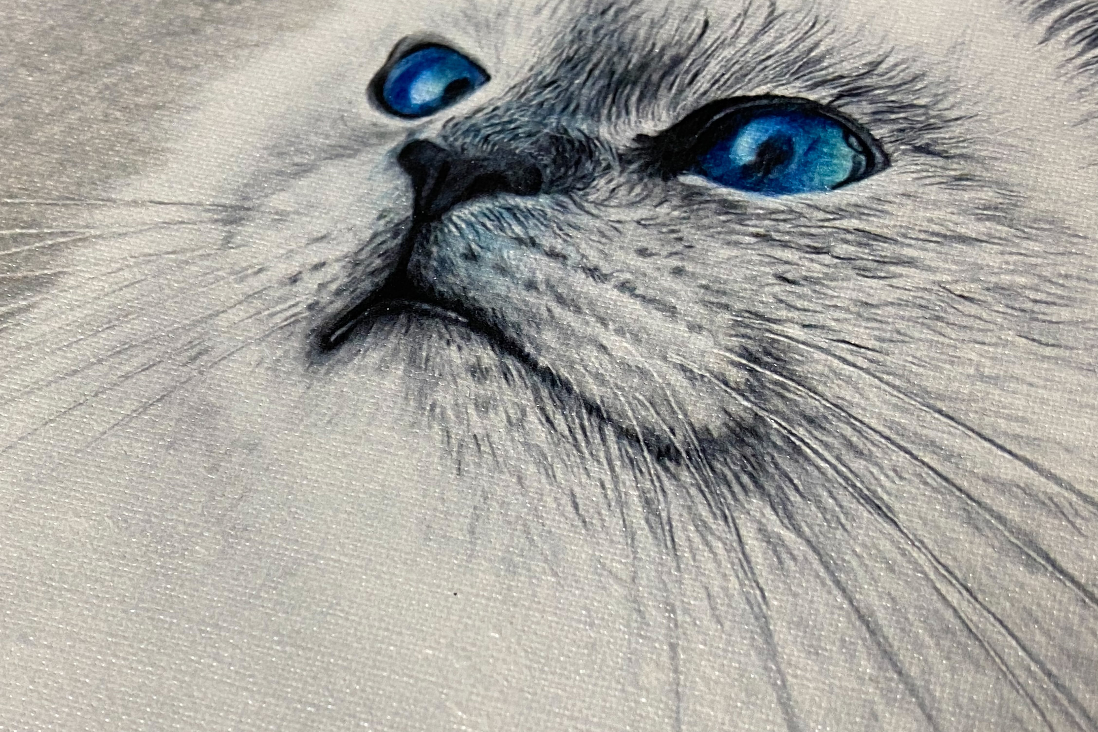 絵画 永田芳郎作 画題 どてら猫 F3号 アクリルキャンバス画 【公式通販】