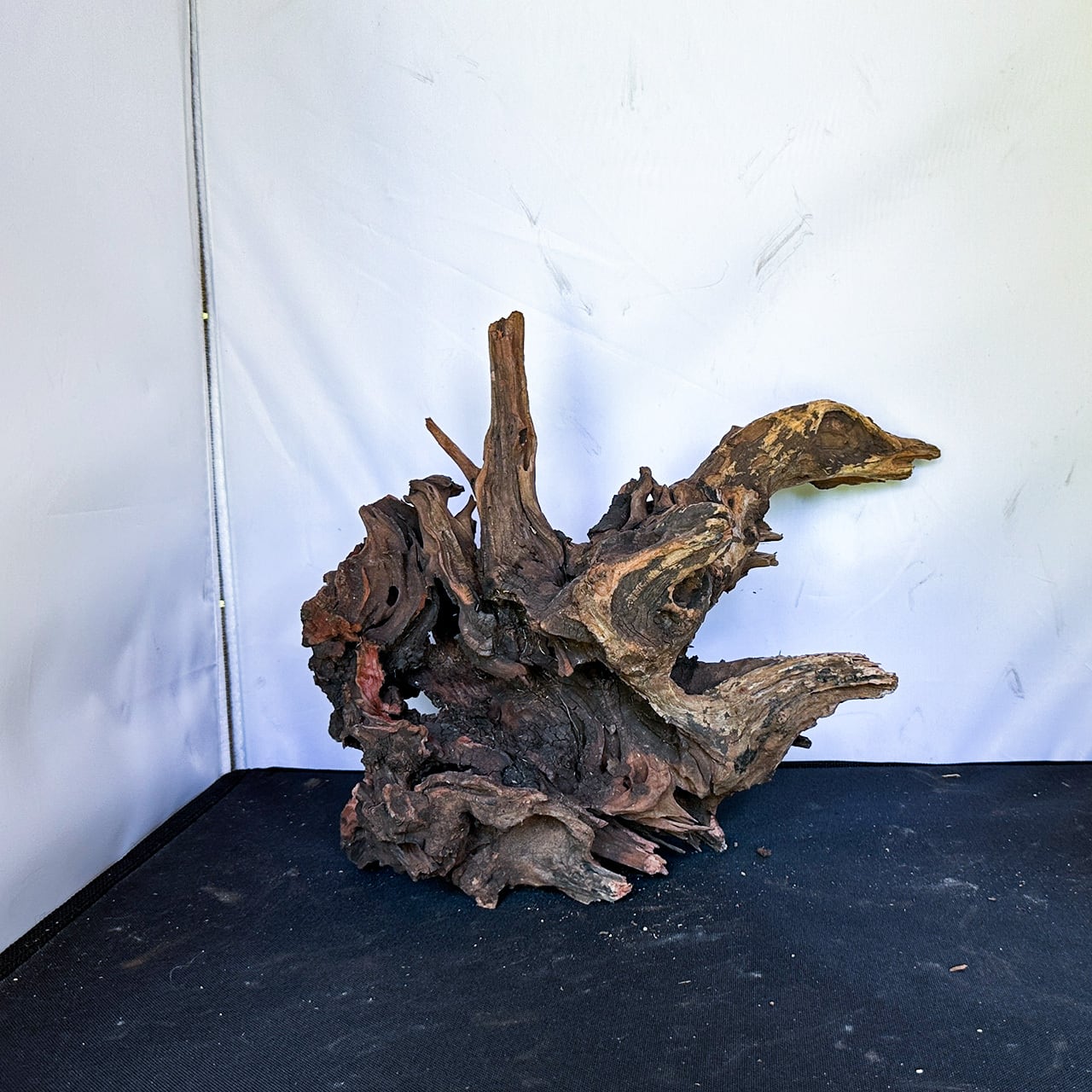 アクアリウム 大型流木通販ショップ -ZEROAQUAshop -