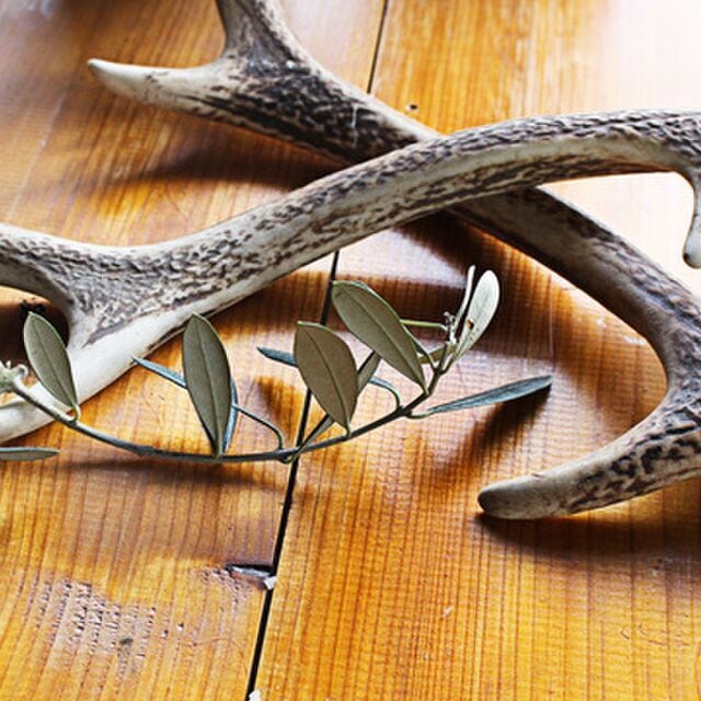 鹿の角◇犬のおもちゃ◇3個以上ヤマト宅急便発送 | Piccolotto & GREEN