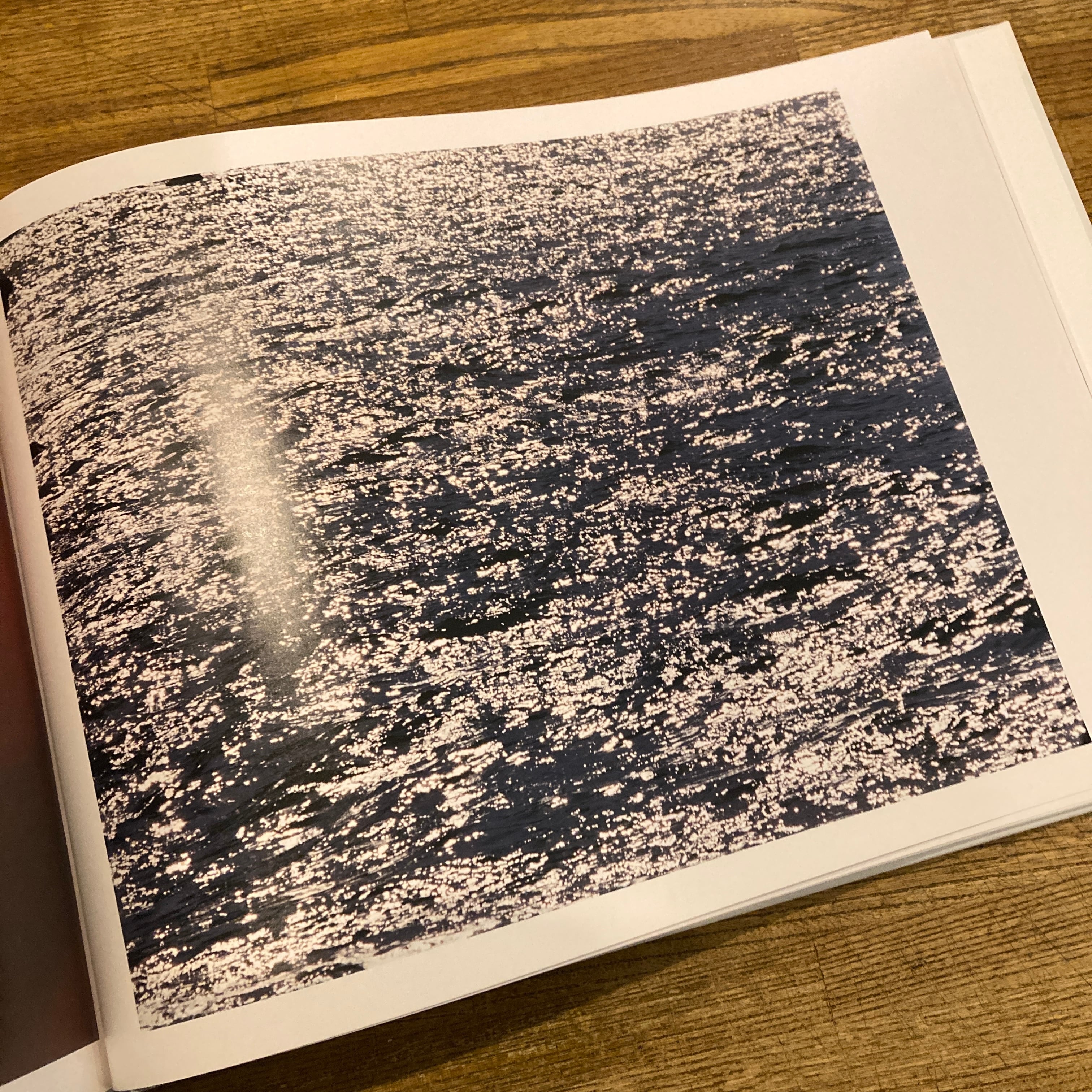 大橋仁 写真集「そこにすわろうとおもう」絶版本 そこにすわろうとおもう /