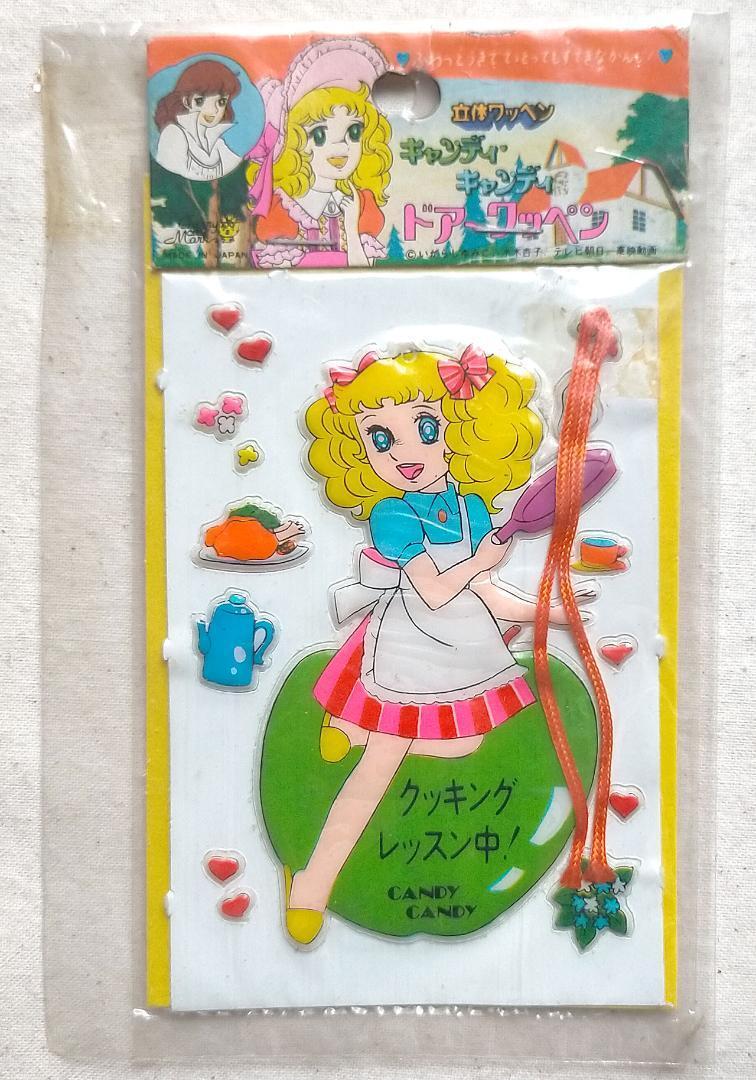 希少】キャンディキャンディ 立体ワッペン 専用ケース付き 希少