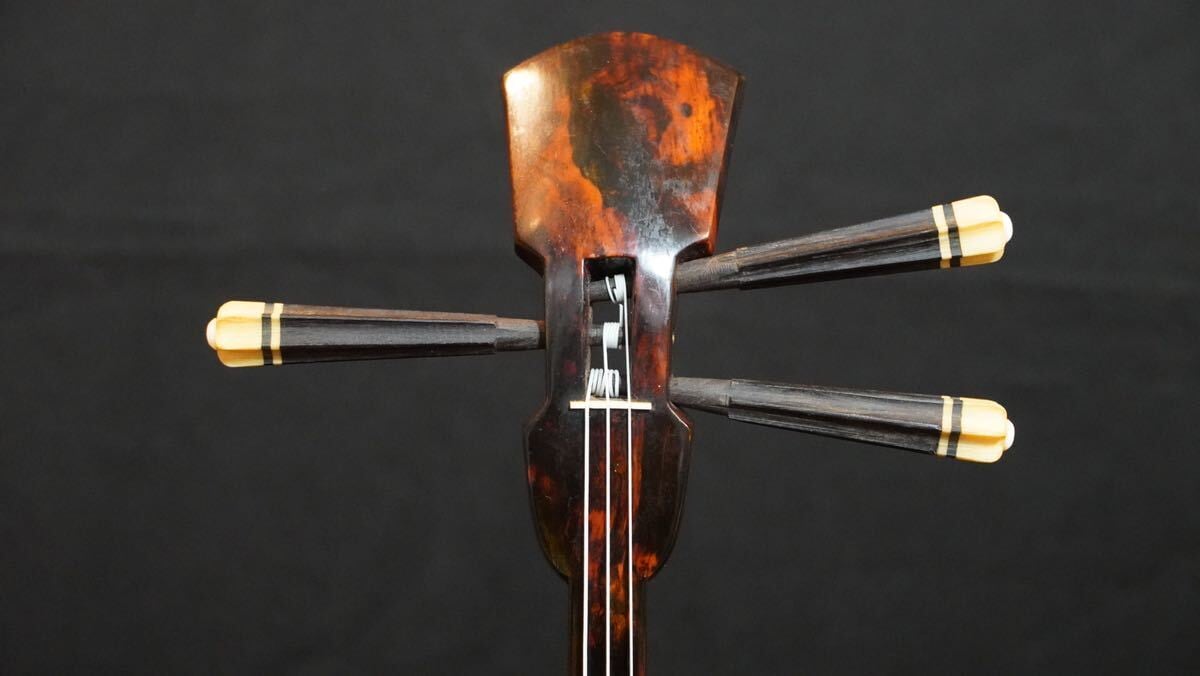 貴重〜虎木〜 八重山ウジラミ模様 ヴィンテージ真壁型三線 | 胴巻屋