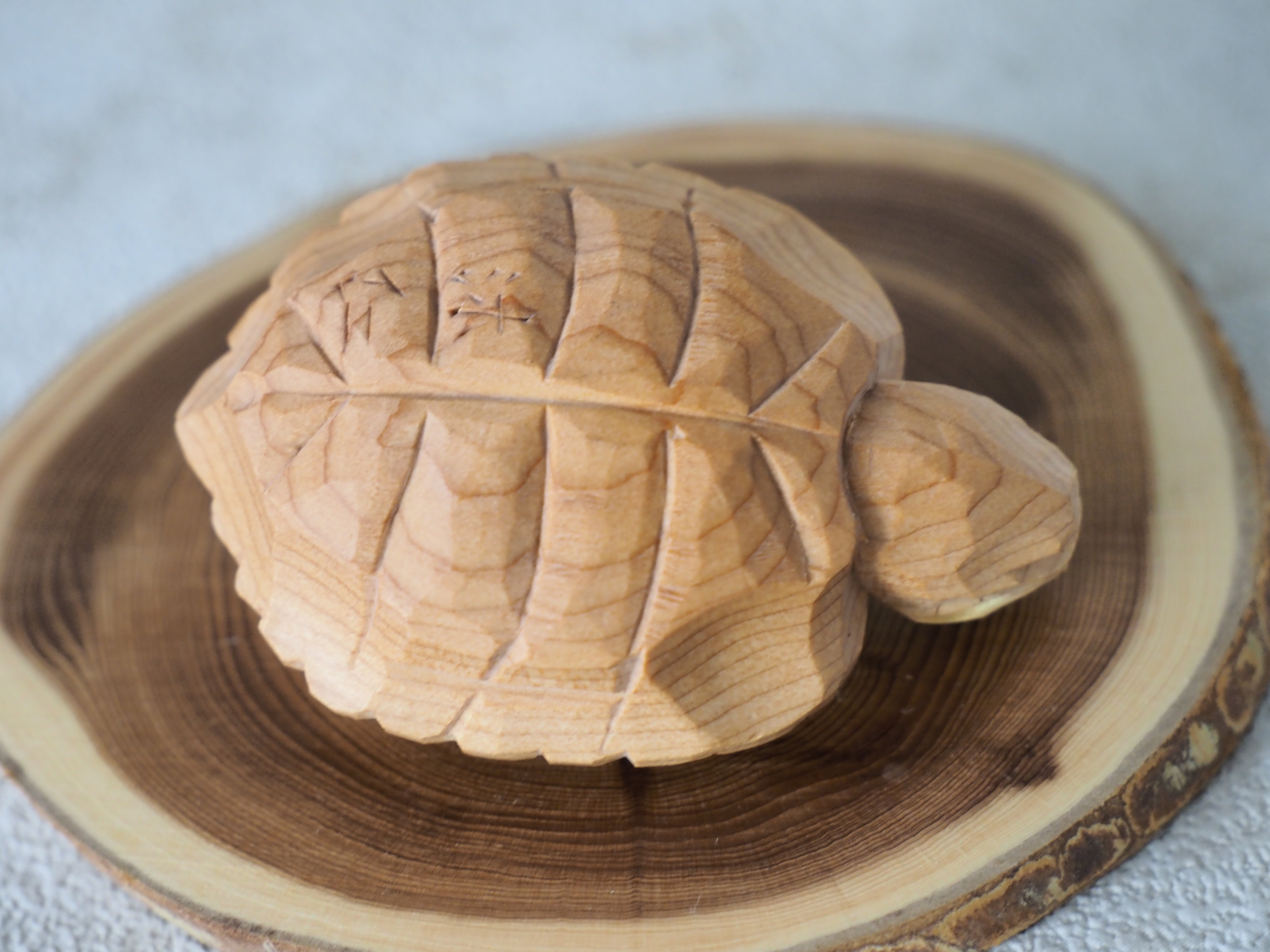 飛騨一位一刀彫 亀（小） | 陶器の通販 和食器 ｜うつわのあやめ屋