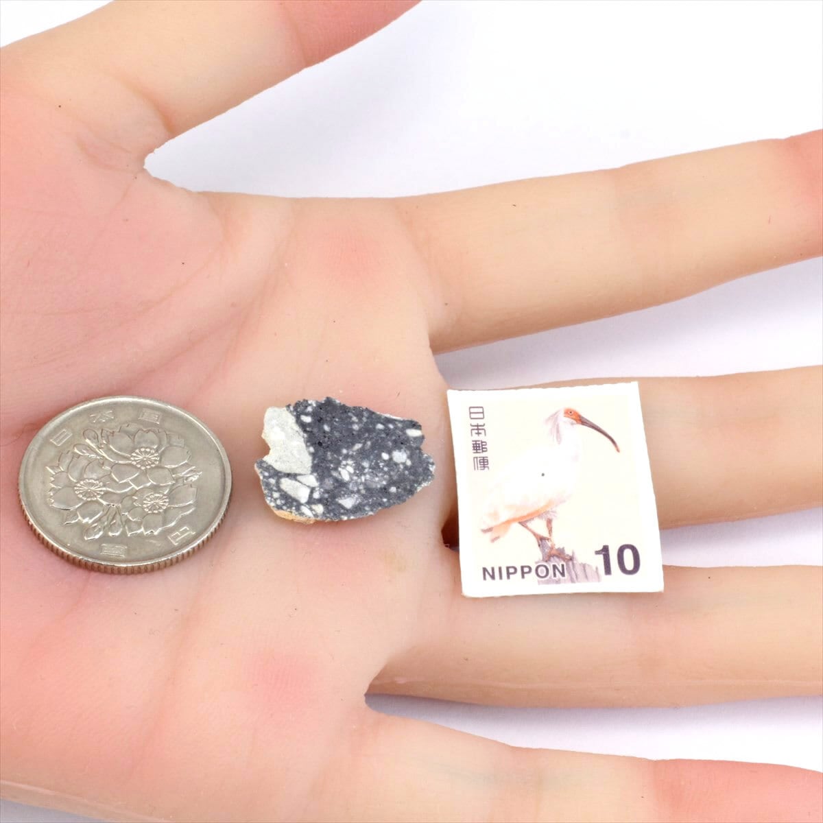 月の石＊ 月から来たNWA11273隕石標本 【公式通販】