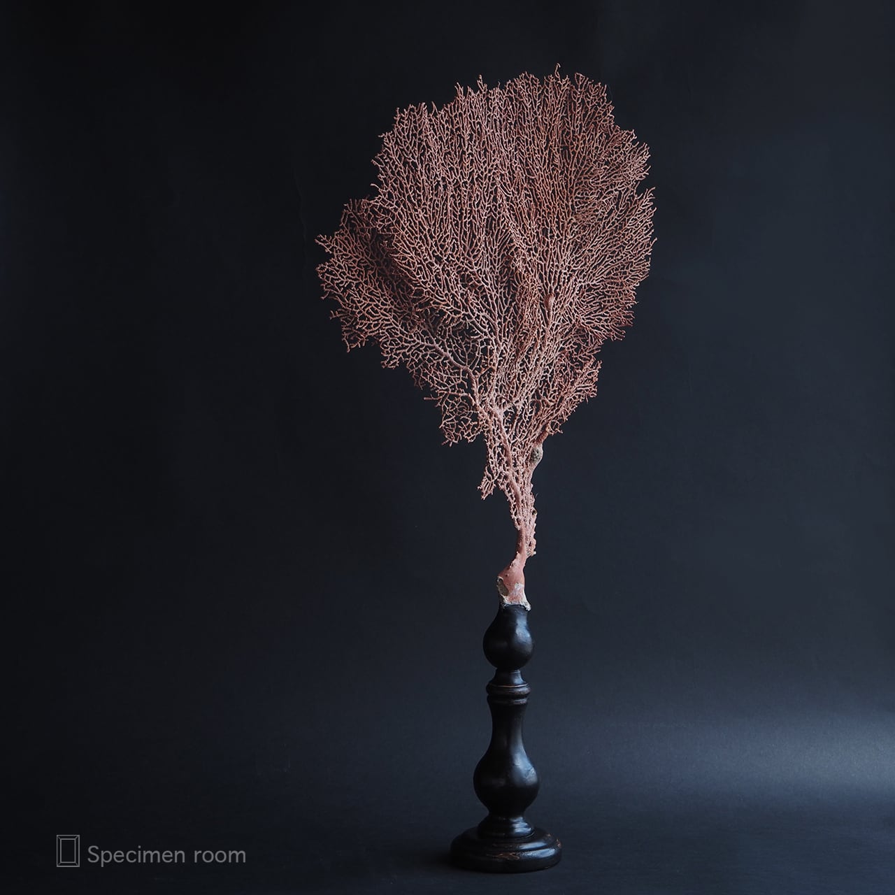 3e65bacb6af7033d3271b8db2d7a71