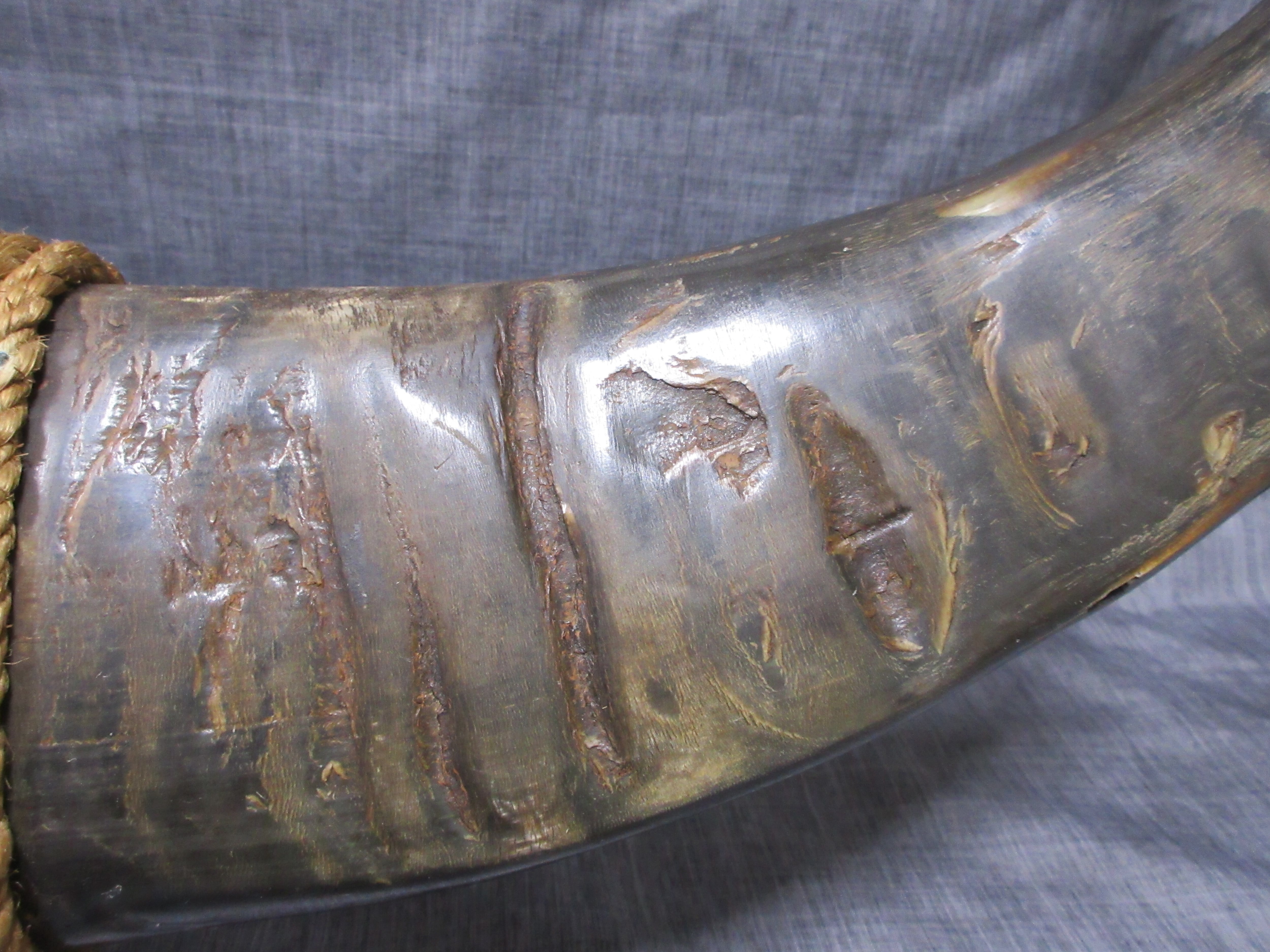 水牛の角 彫刻無し 民芸品 置物 (大) type-C | ギャラリー寿