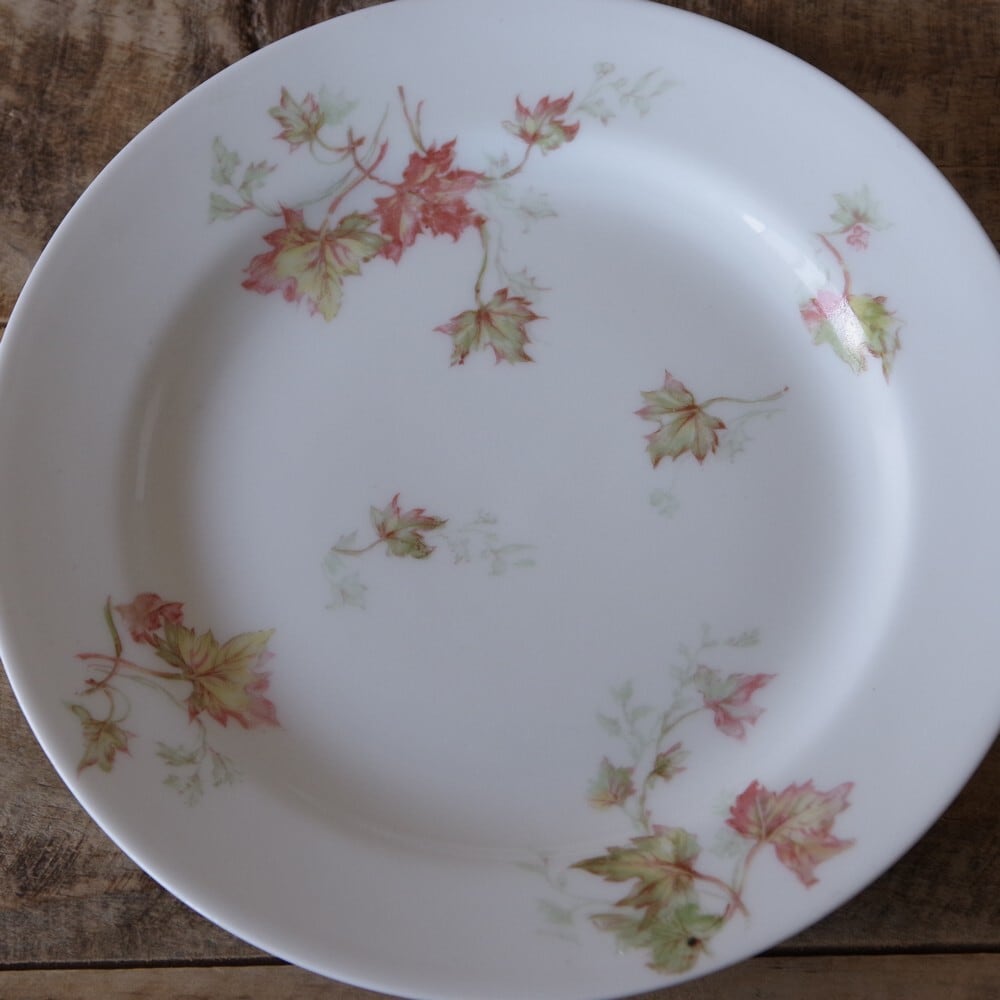 激レア】H&C アビランド リモージュ 飾り皿/プレート フランス