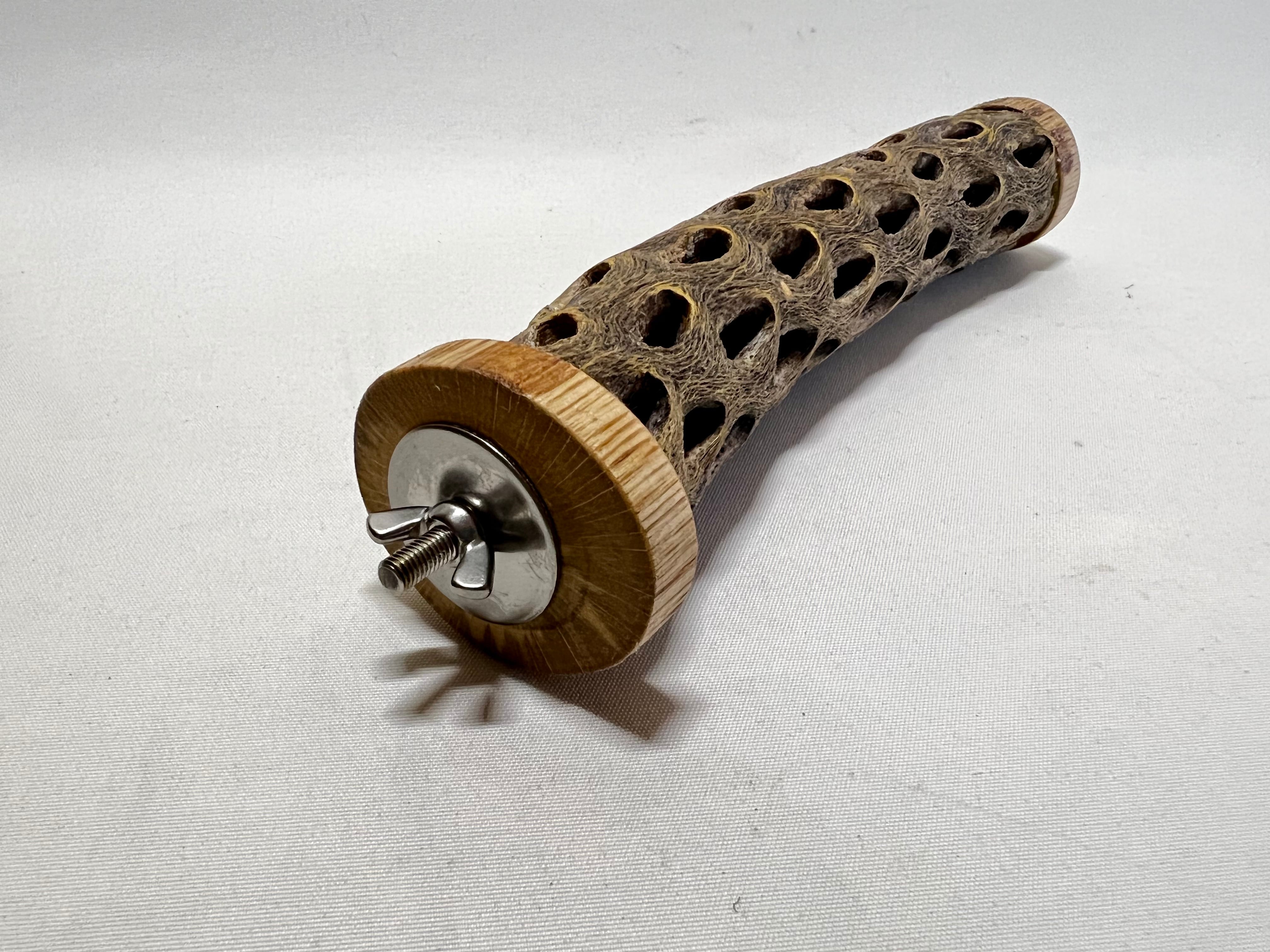 カクタスパーチL | 小福屋 kofukuya@bird