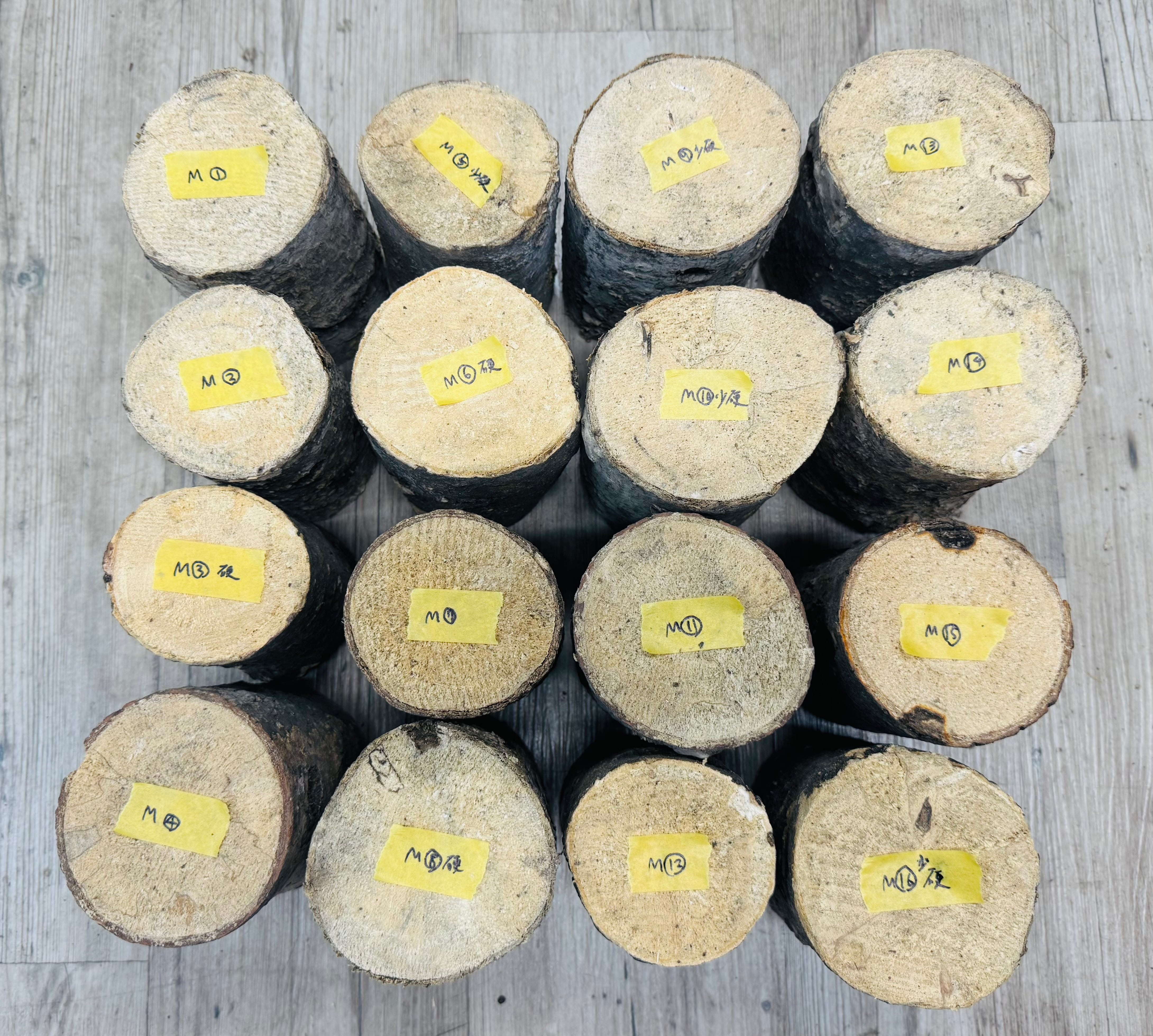 VN材（ベトナム材）Mサイズ 1本 | KPW公式オンラインショップ