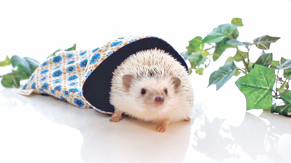 ハリネズミ寝袋 ソファーB ハリネズミ寝袋