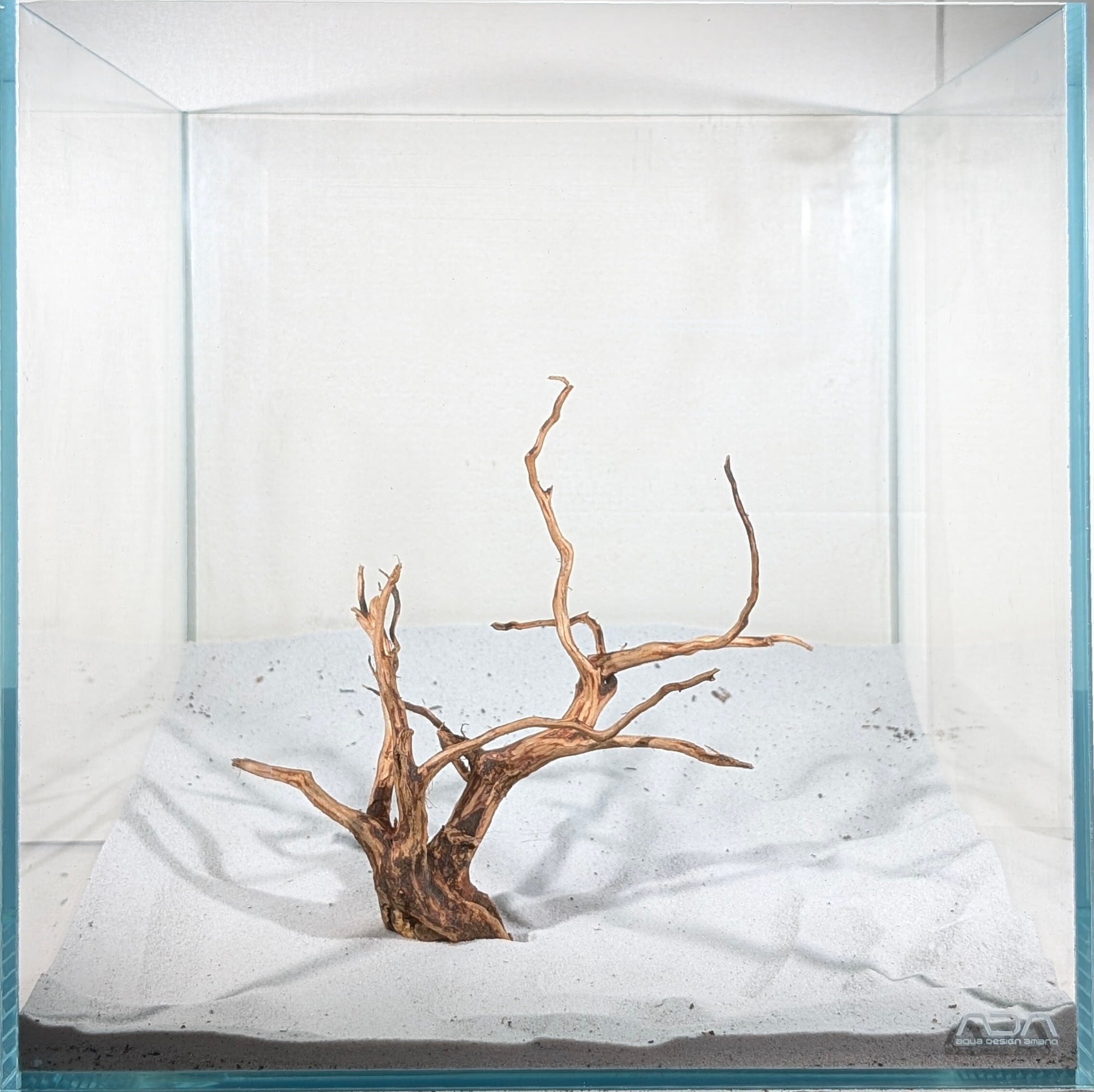 スマトラブランチウッド【SBC101】流木 アクアリウム 水槽 熱帯魚