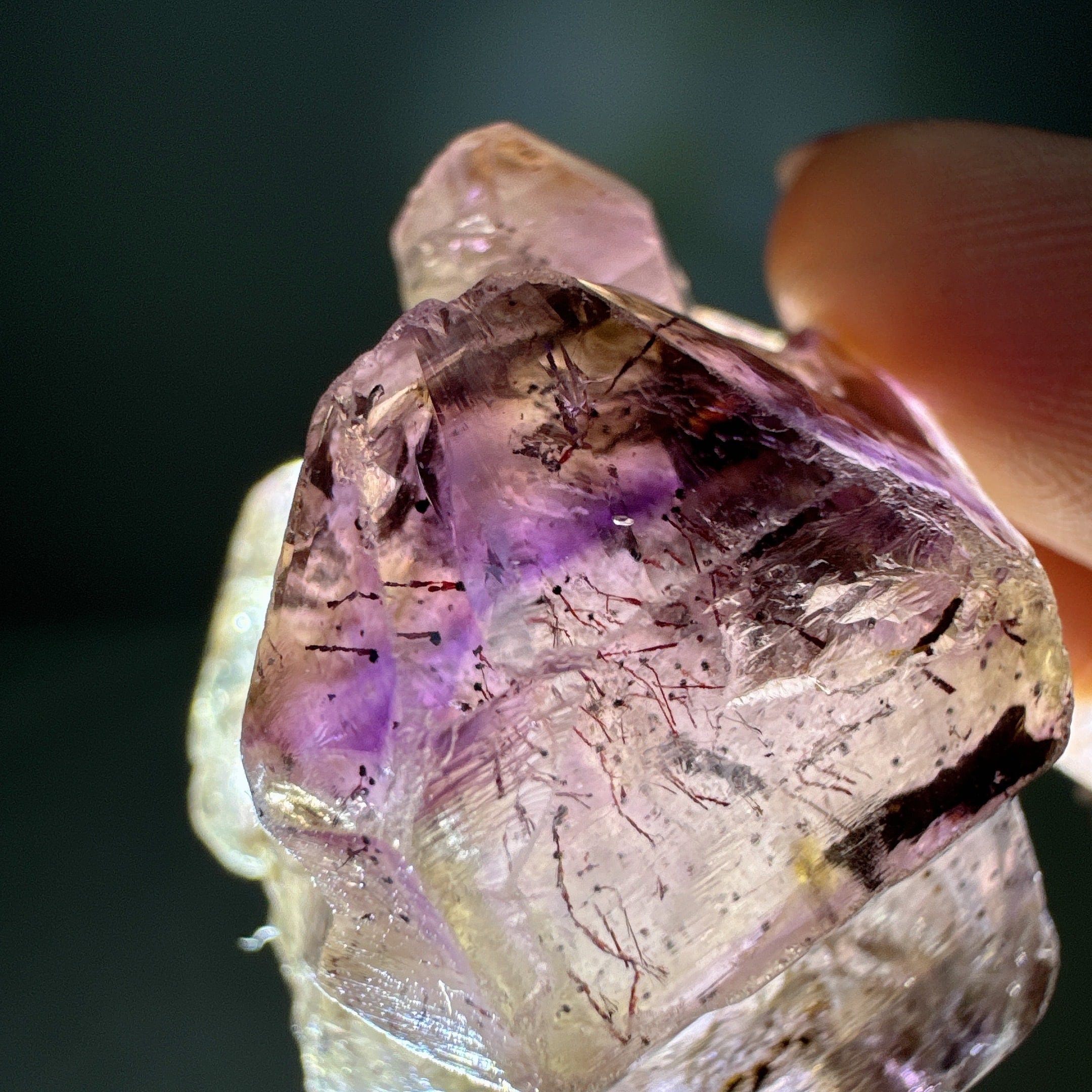 虹♡水入り♡スーパーセブン | Lithica