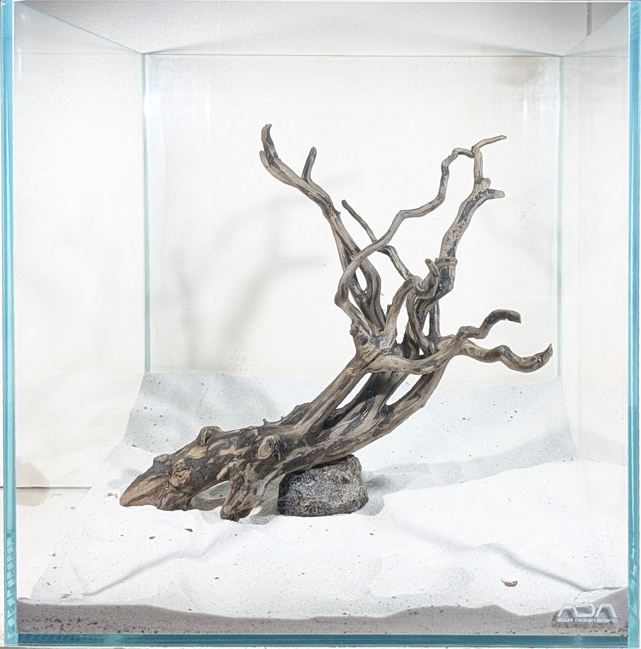 ブラックスマトラブランチウッド【BSB091】 | ペットの流木 水宗工房